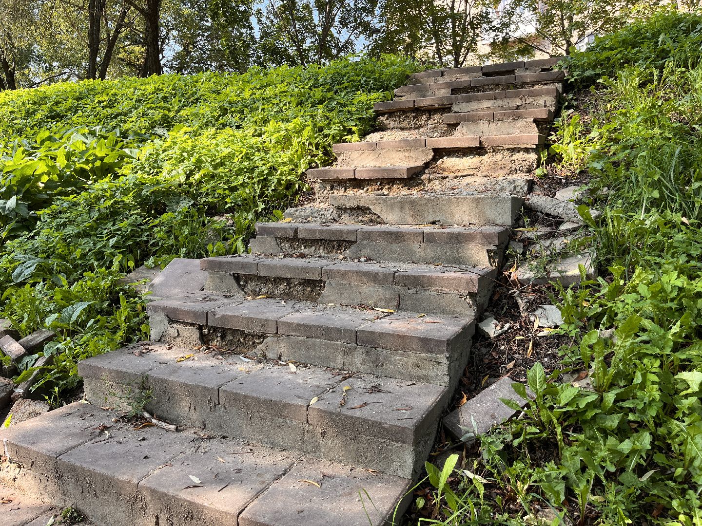 парки подмосковья, подмосковье, московская область, руза, рузский городской округ, благоустройство, безопасный регион,