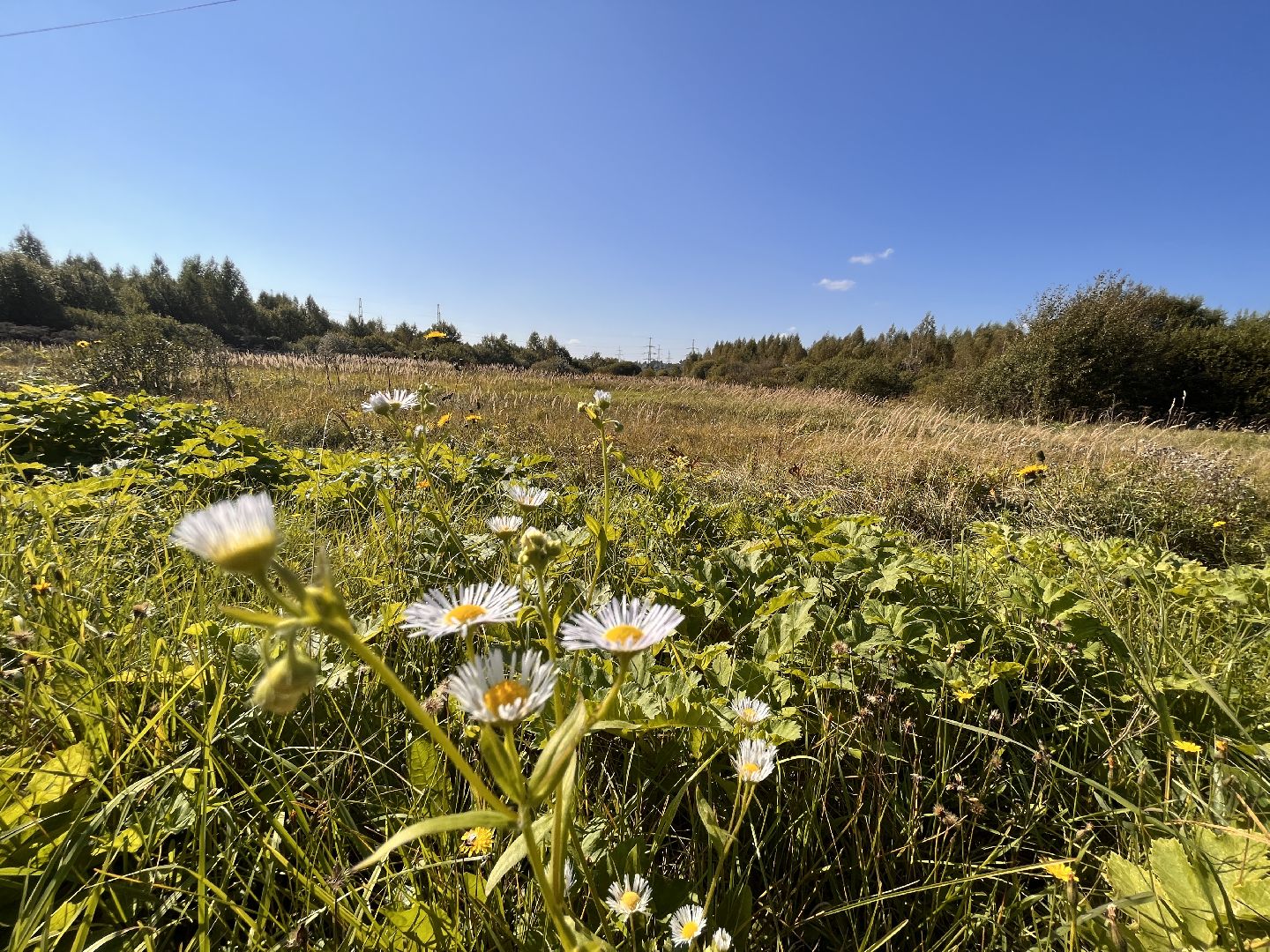 газ, руза, рузский городской округ, московская область, подмосковье, губернатор, губернатор воробьев,