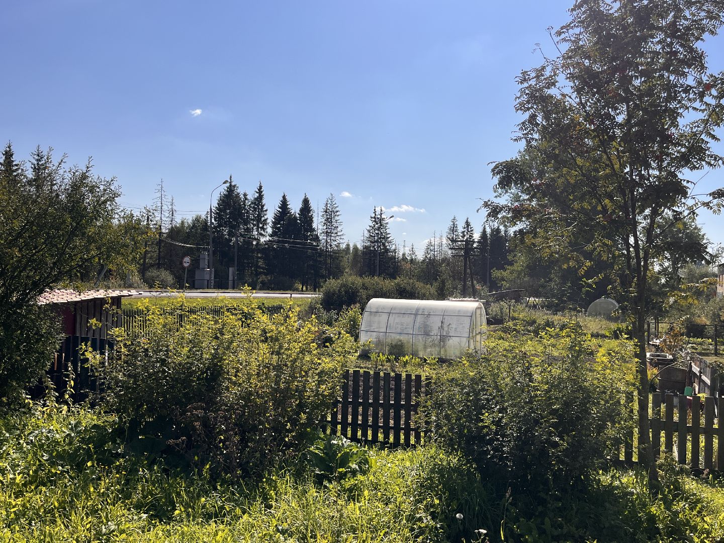 газ, руза, рузский городской округ, московская область, подмосковье, губернатор, губернатор воробьев,