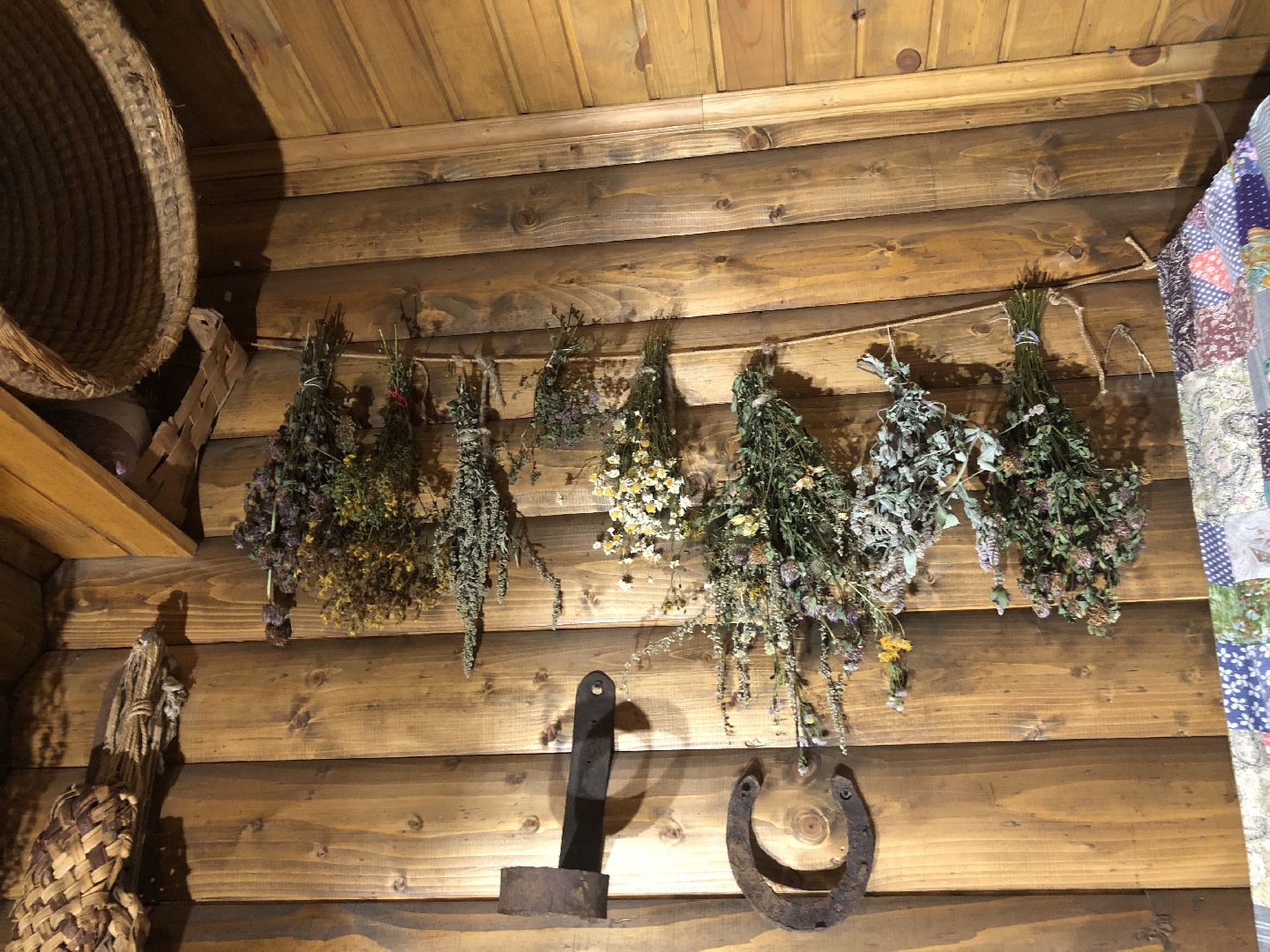 коломна, культура,