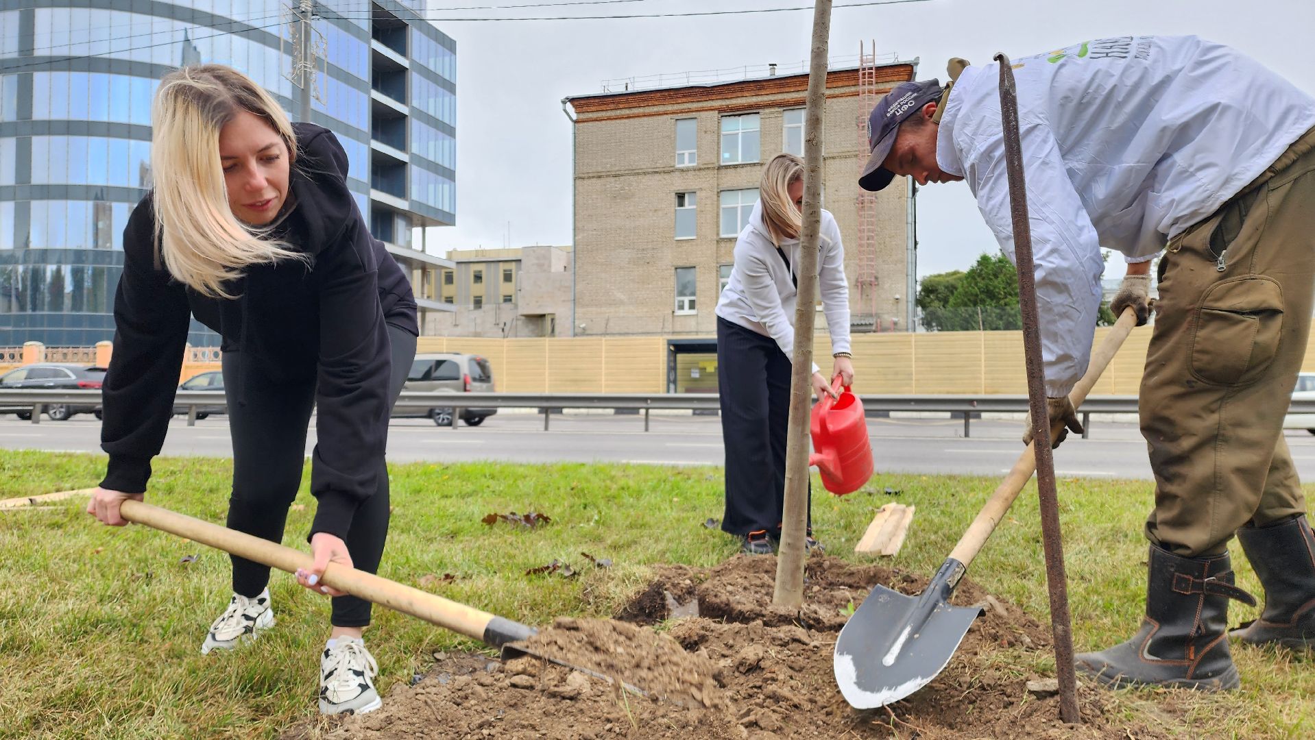 наш лес, экологическая акция, озеленение,
