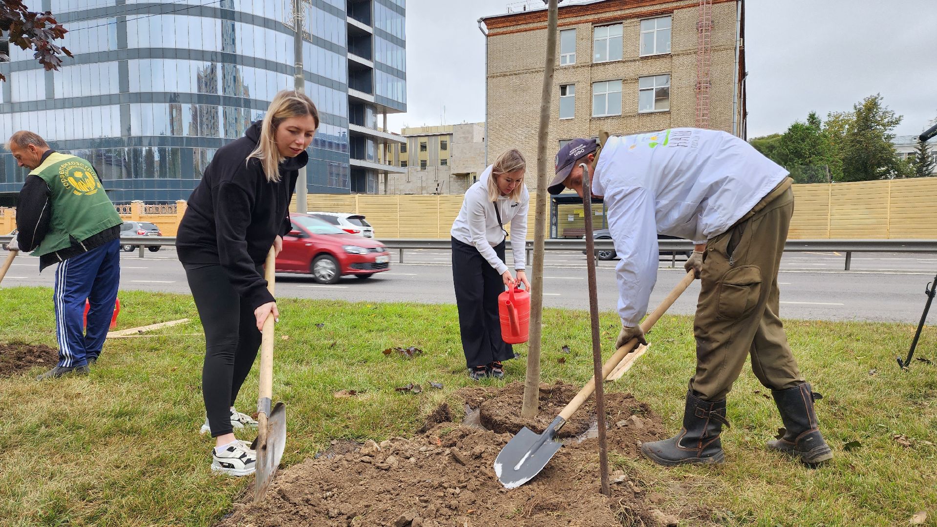 наш лес, экологическая акция, озеленение,