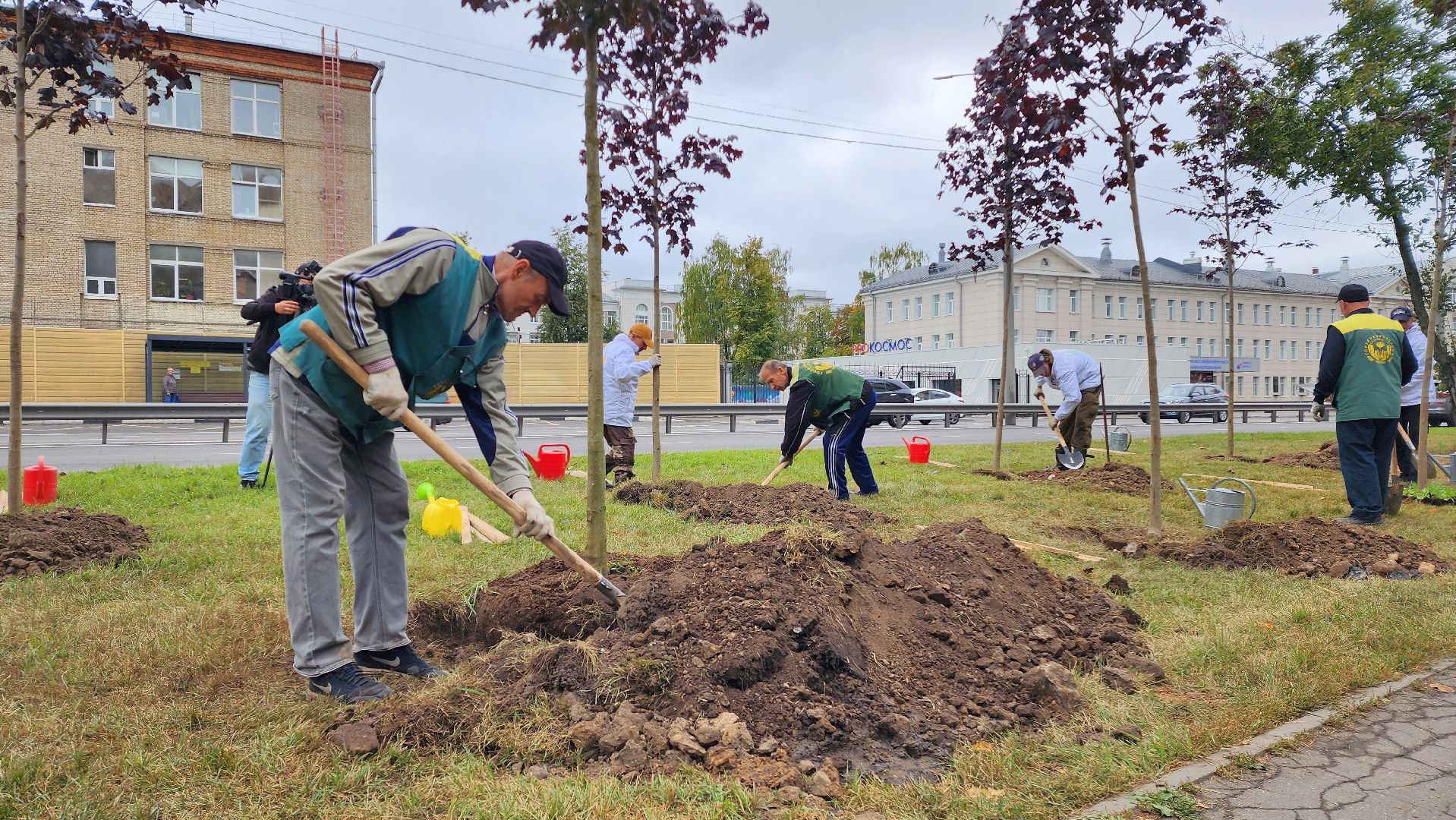 наш лес, экологическая акция, озеленение,