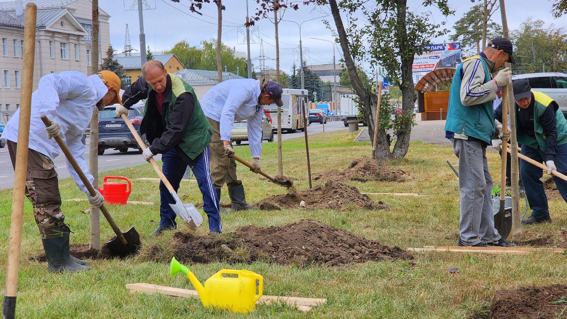 наш лес, экологическая акция, озеленение,