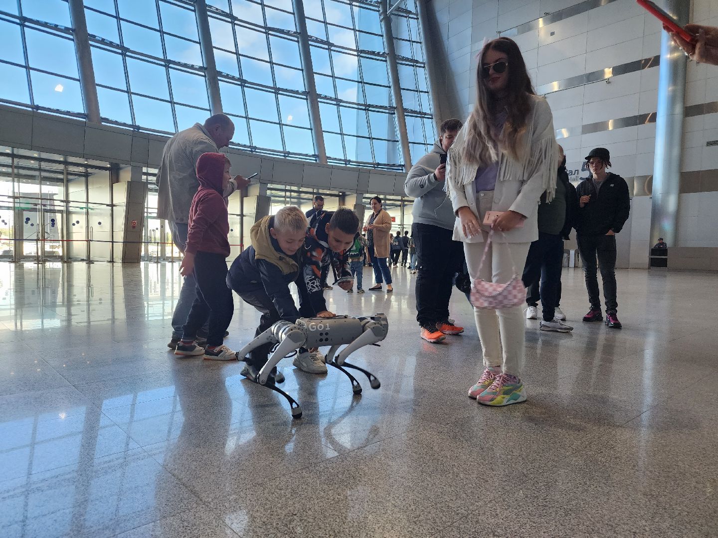 красногорск, робототехника, роботы,