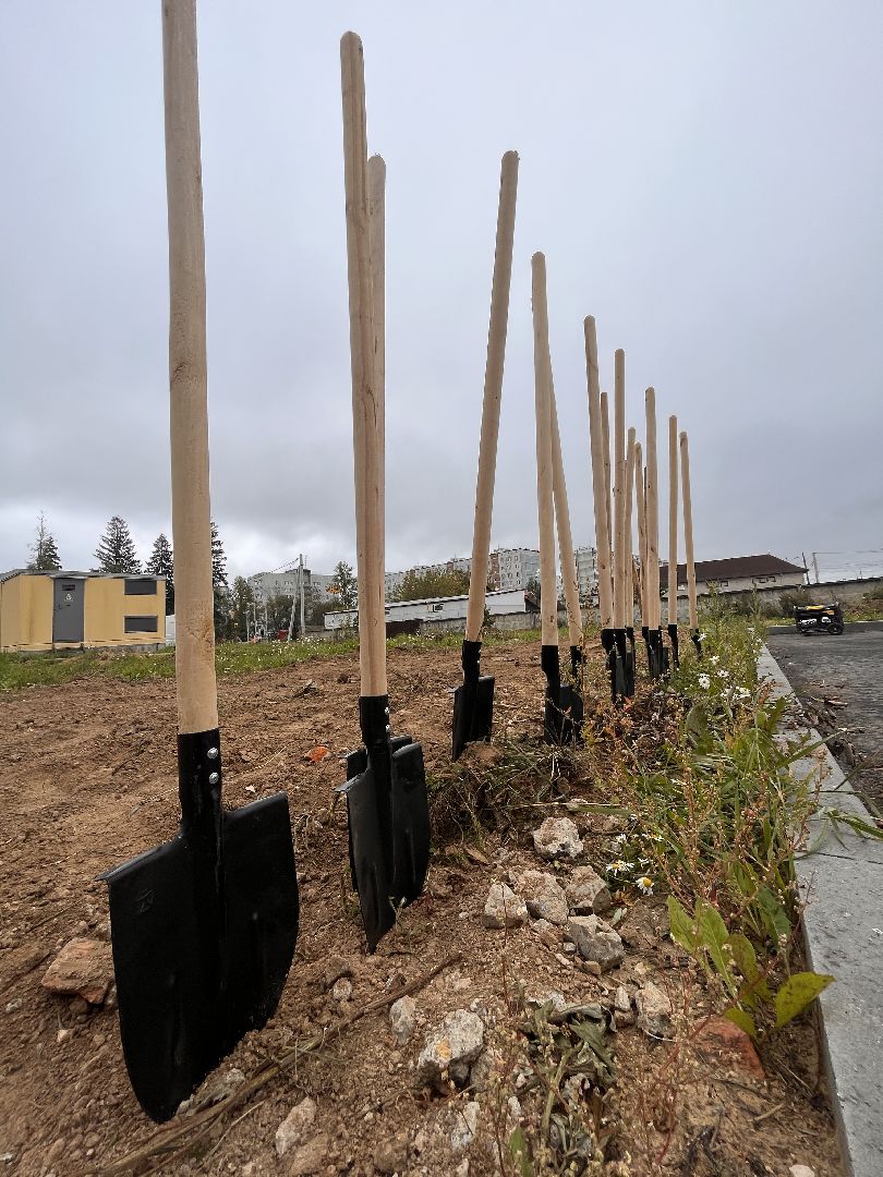 экологическая акция, наш лес, экология, руза, рузский городской округ, московская область, подмосковье,