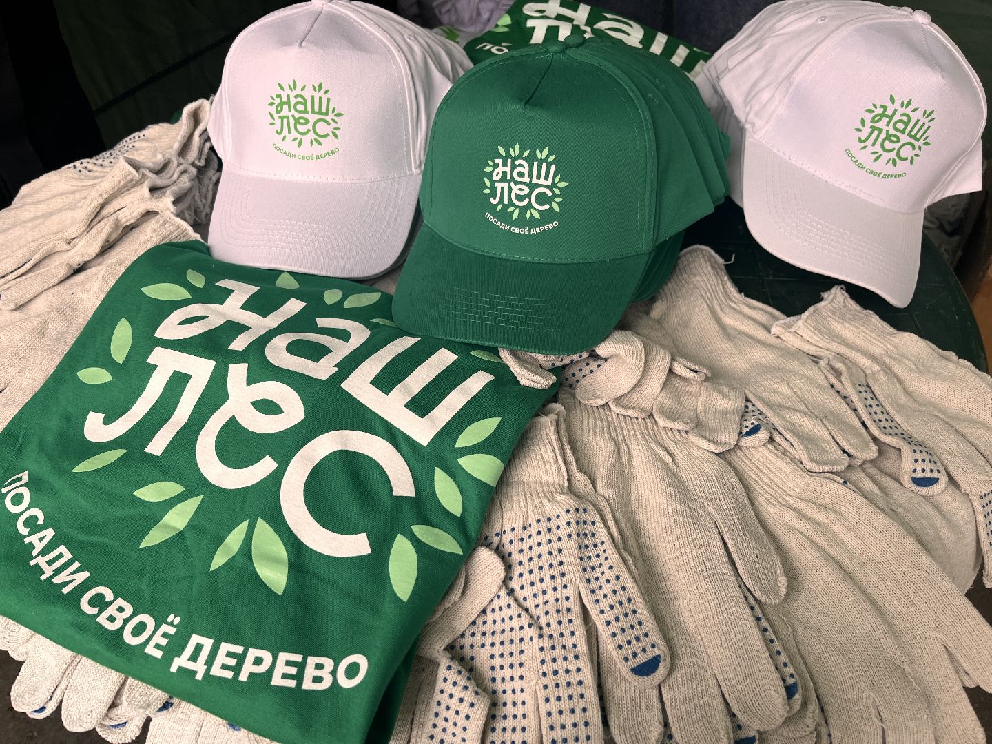 экологическая акция, наш лес, экология, руза, рузский городской округ, московская область, подмосковье,