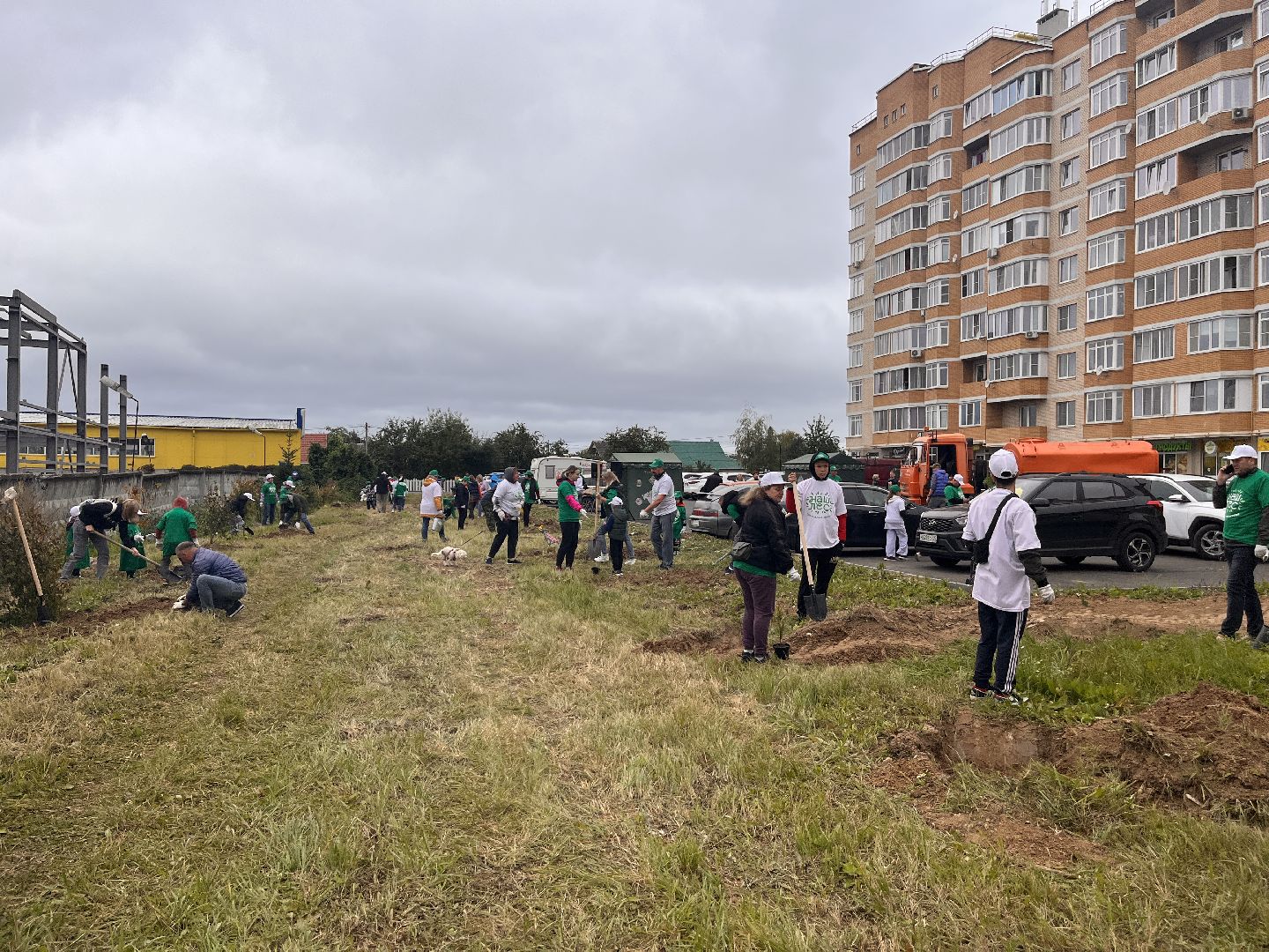 экологическая акция, наш лес, экология, руза, рузский городской округ, московская область, подмосковье,