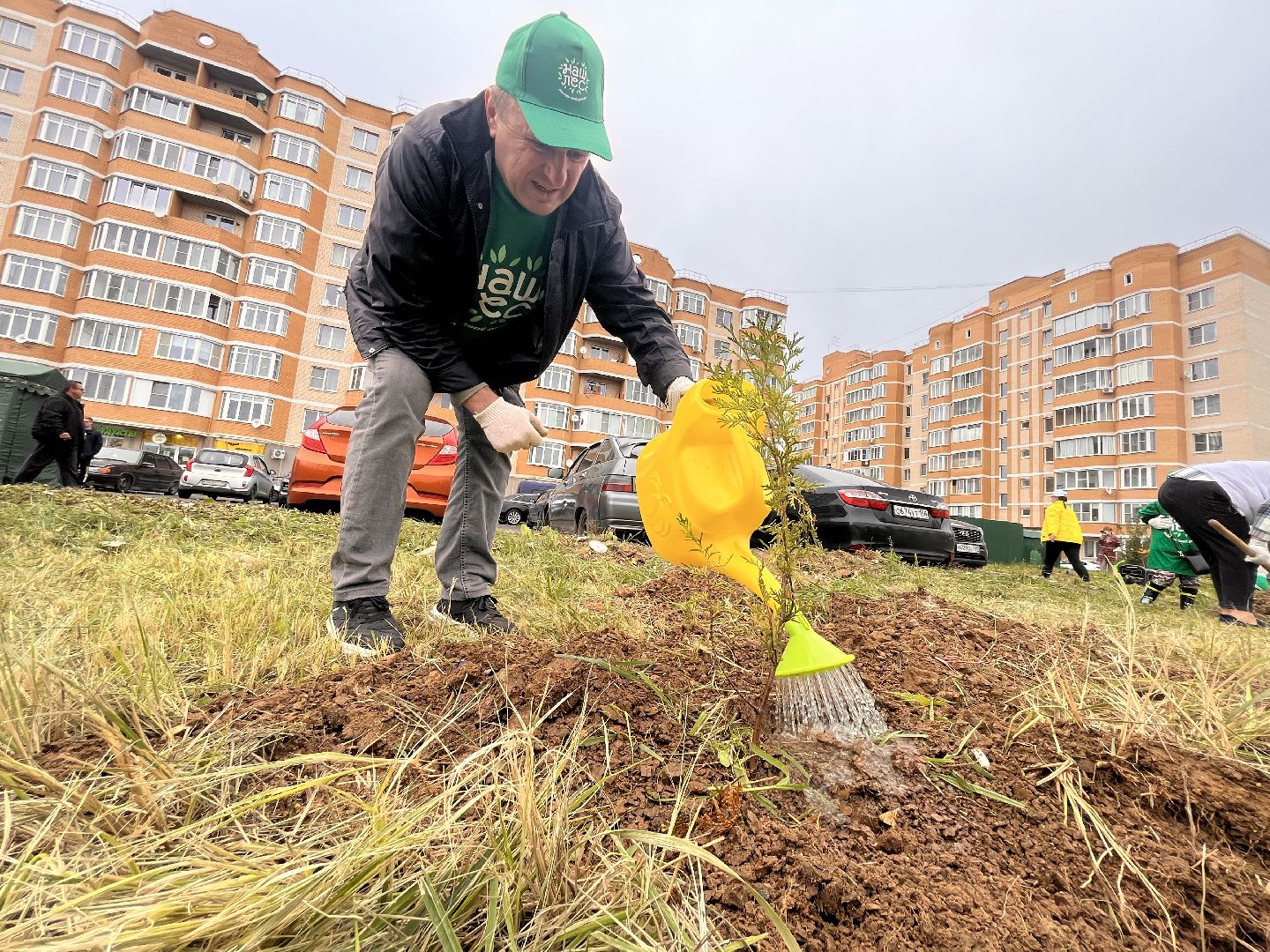 экологическая акция, наш лес, экология, руза, рузский городской округ, московская область, подмосковье,