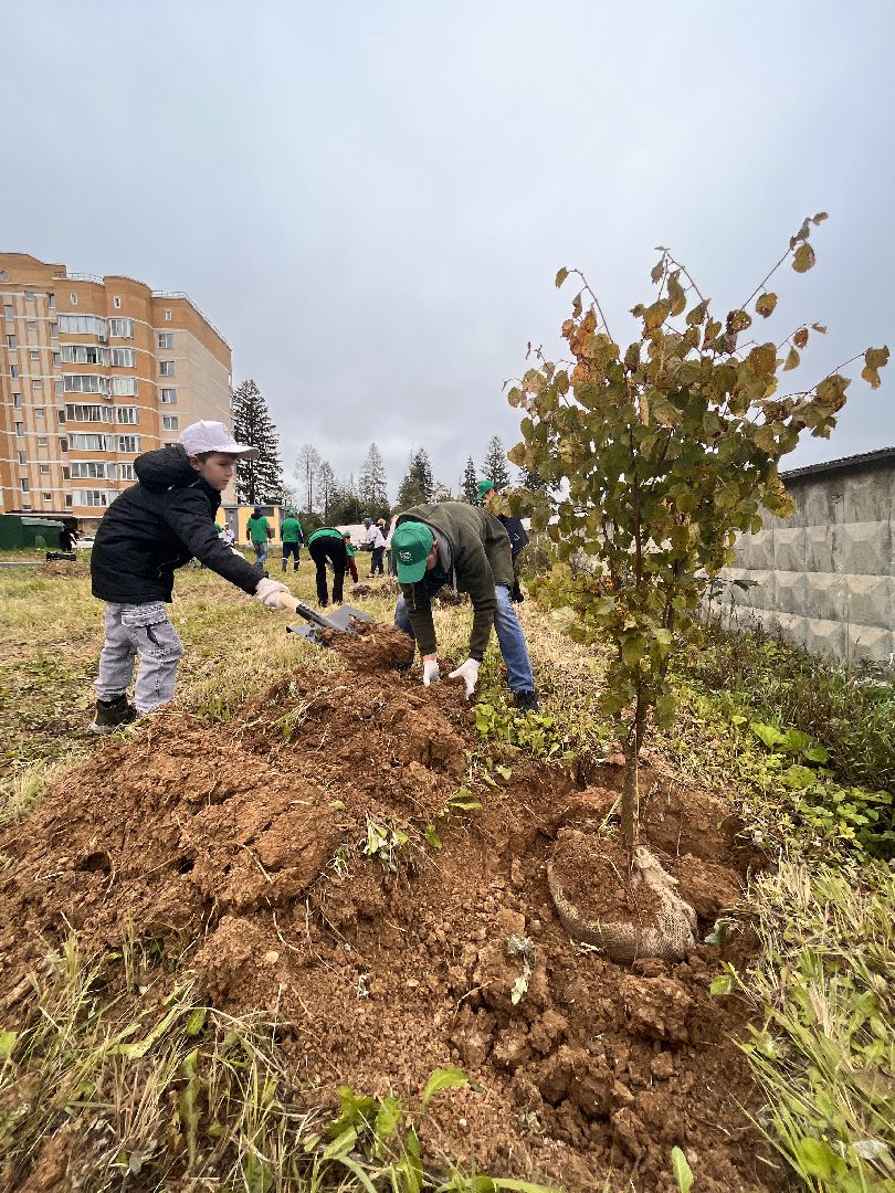 экологическая акция, наш лес, экология, руза, рузский городской округ, московская область, подмосковье,