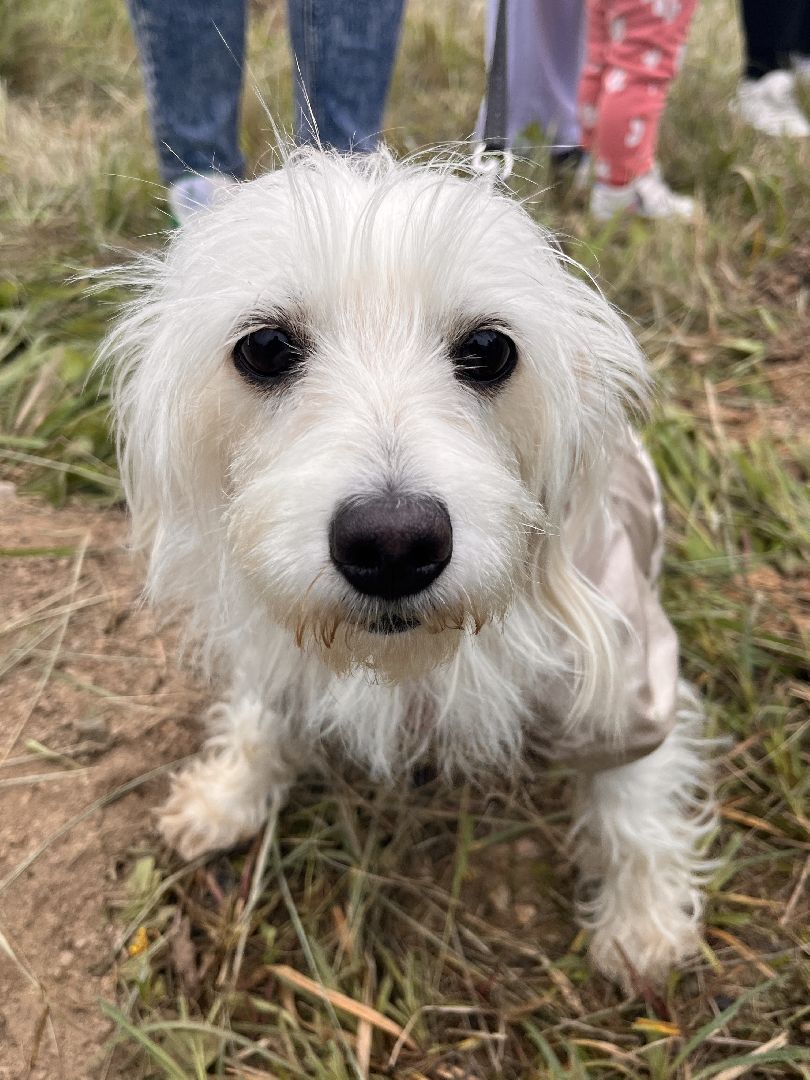 экологическая акция, наш лес, экология, руза, рузский городской округ, московская область, подмосковье,