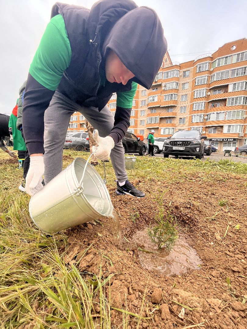 экологическая акция, наш лес, экология, руза, рузский городской округ, московская область, подмосковье,