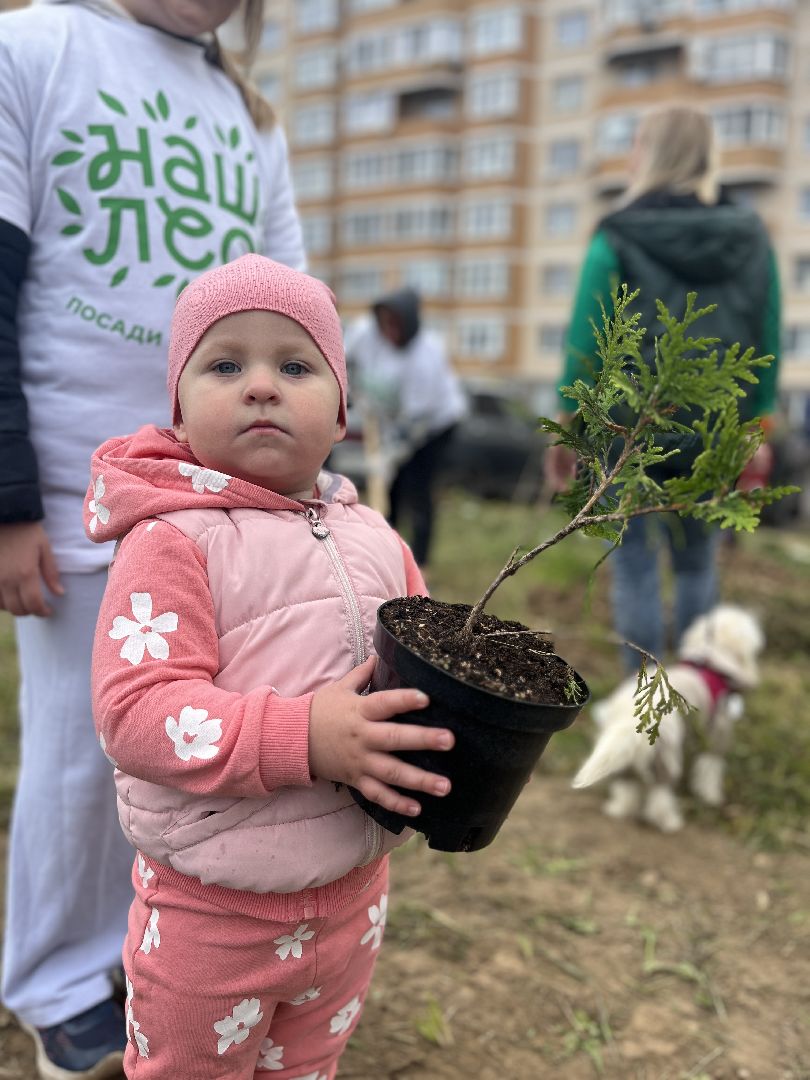 экологическая акция, наш лес, экология, руза, рузский городской округ, московская область, подмосковье,
