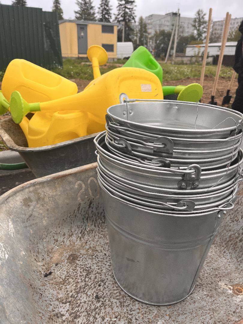 экологическая акция, наш лес, экология, руза, рузский городской округ, московская область, подмосковье,