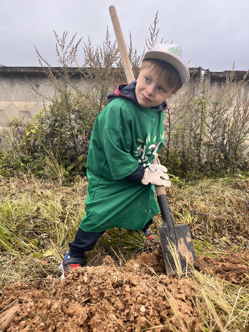 экологическая акция, экология, руза, рузский округ, наш лес, московская область, подмосковье,