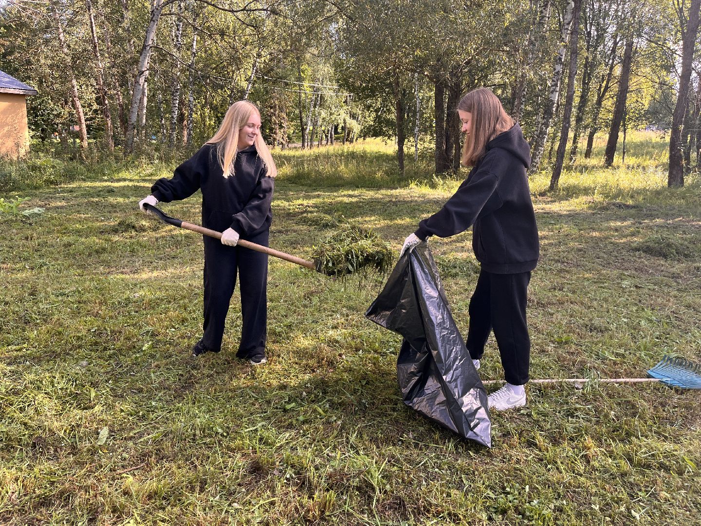благоустойство, руза, рузский городской округ, школьники, московская область, подмосковье, образование,