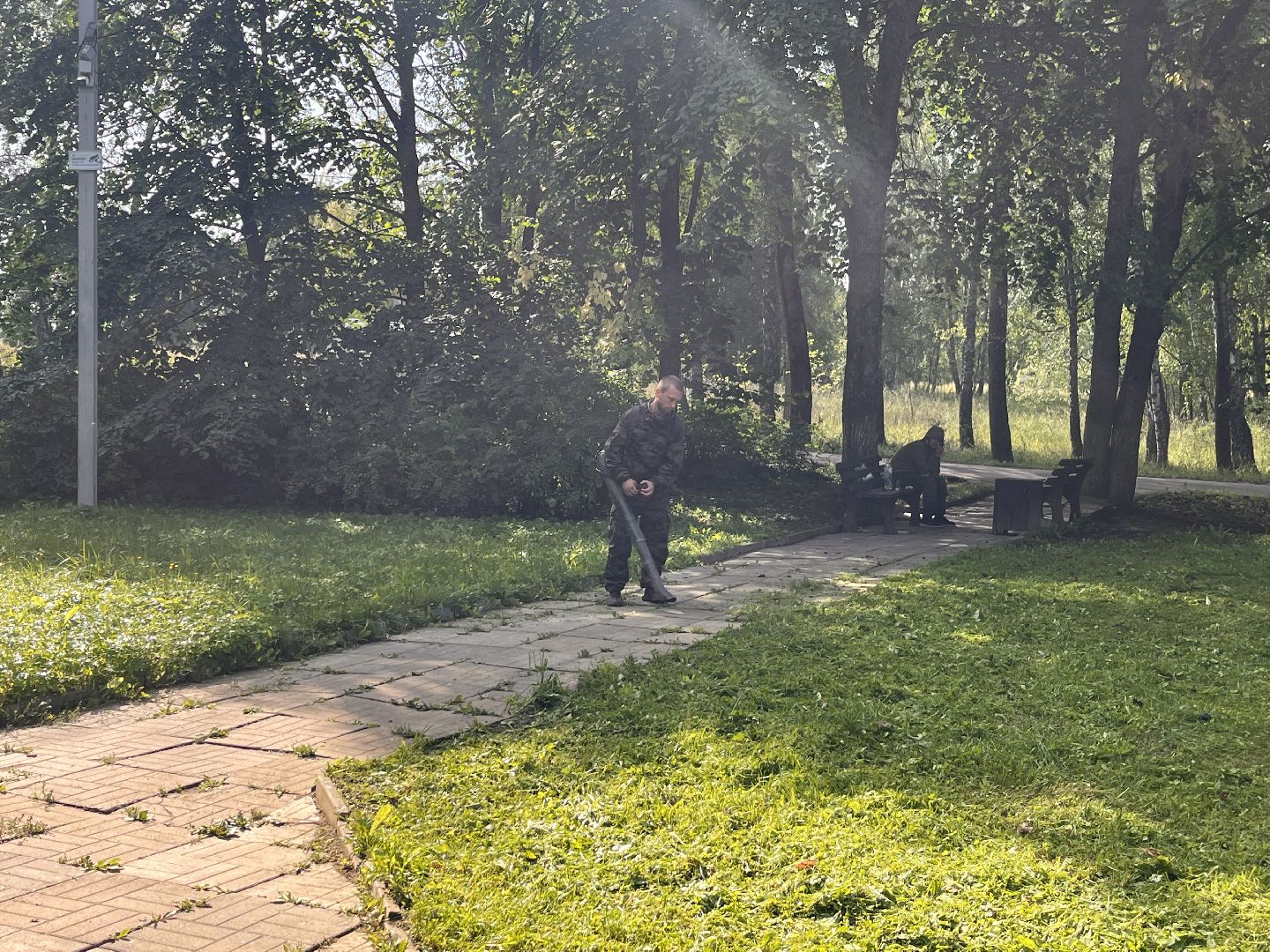 благоустойство, руза, рузский городской округ, школьники, московская область, подмосковье, образование,