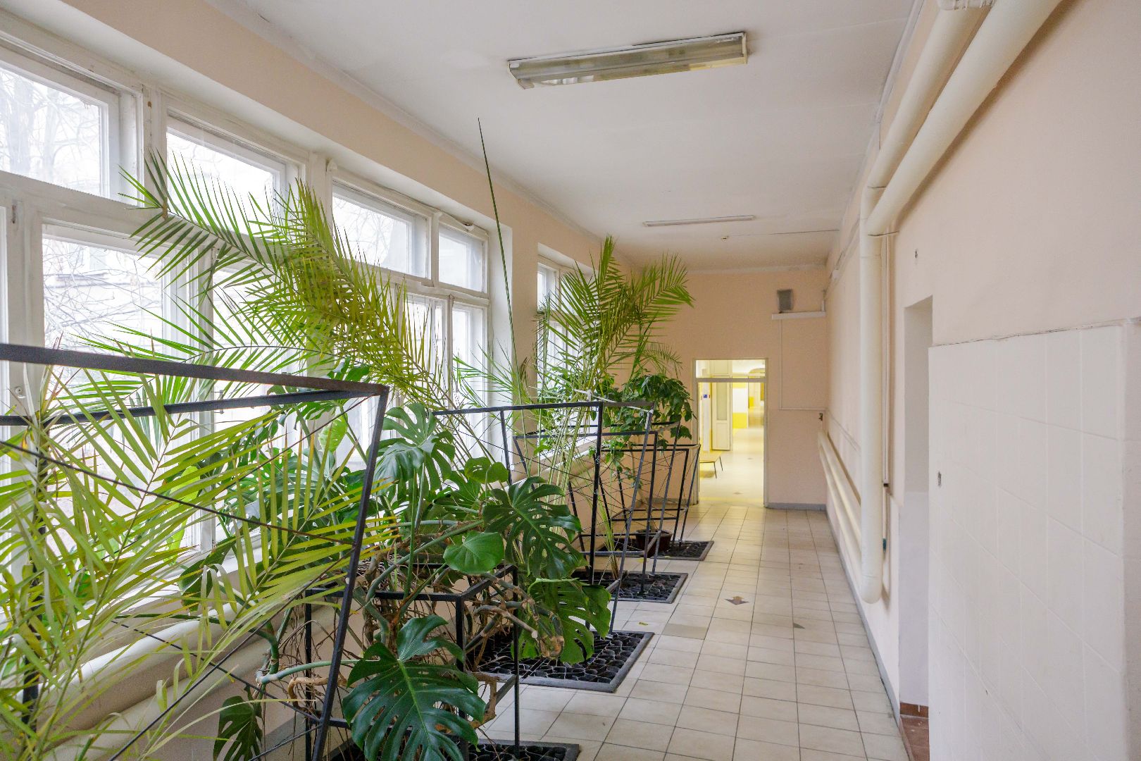 люберцы, операция, хирурги, Челюстно-лицевой скелет,