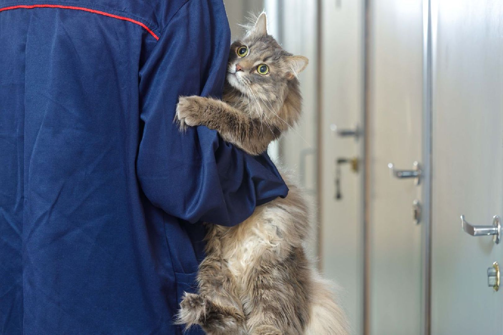 люберцы, ЕДС,