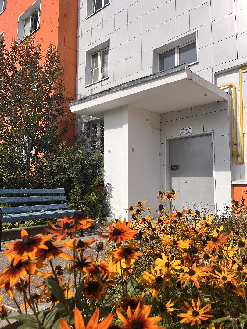 подъезд, ремонт, ремонт подъездов, руза, рузский городской округ, московская область, подмосковье, губернатор воробьев,