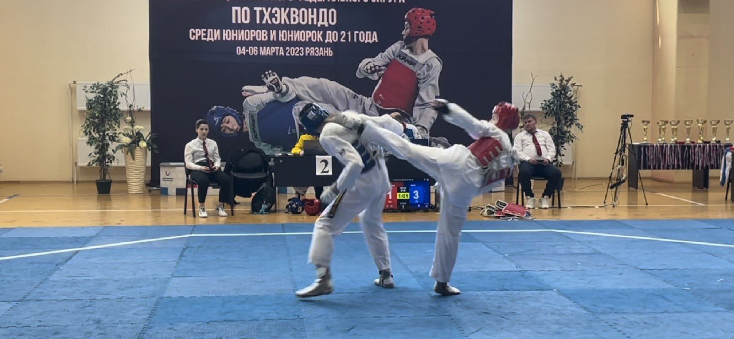 спорт, спорт подмосковья, тхэквондо, руза, рузский городской округ, московская область, подмосковье,