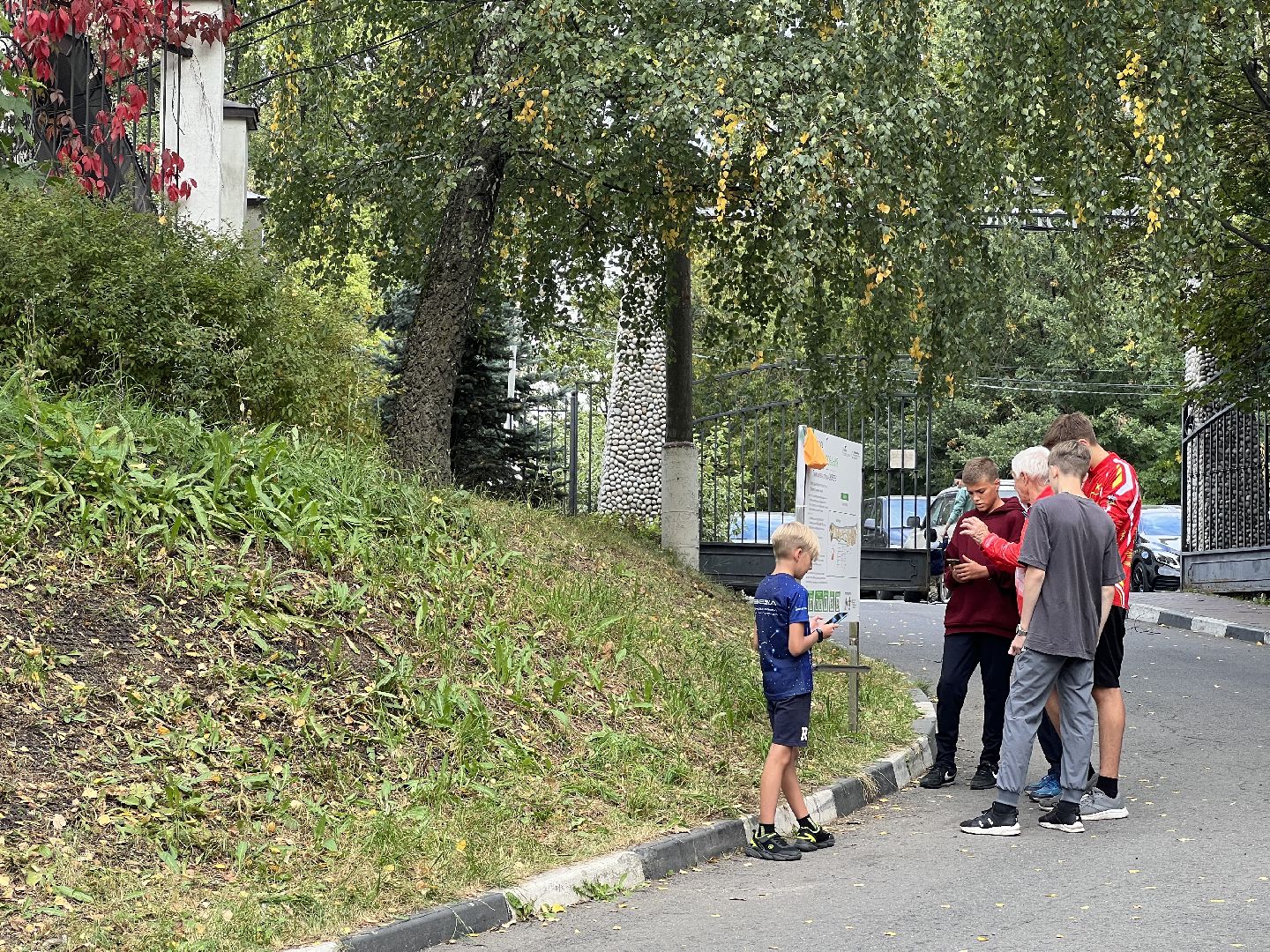 химки, спорт, спортивная тренировка,