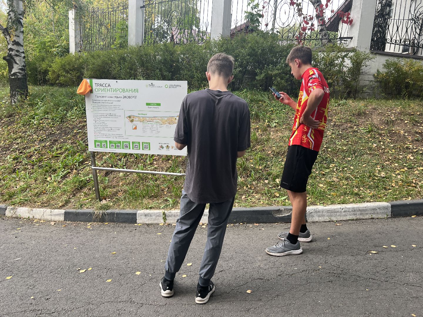 химки, спорт, спортивная тренировка,