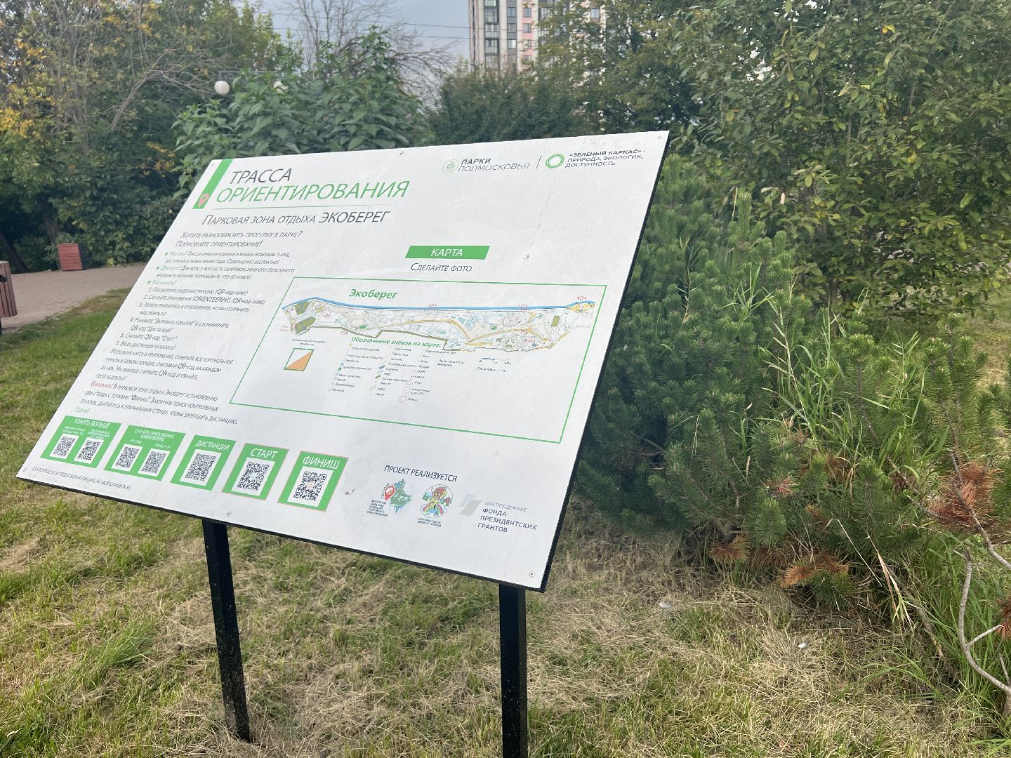 химки, спорт, спортивная тренировка,