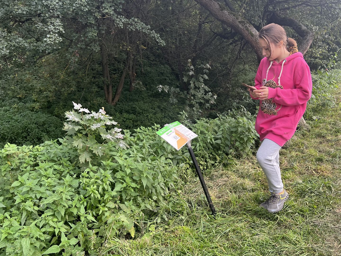 химки, спорт, спортивная тренировка,