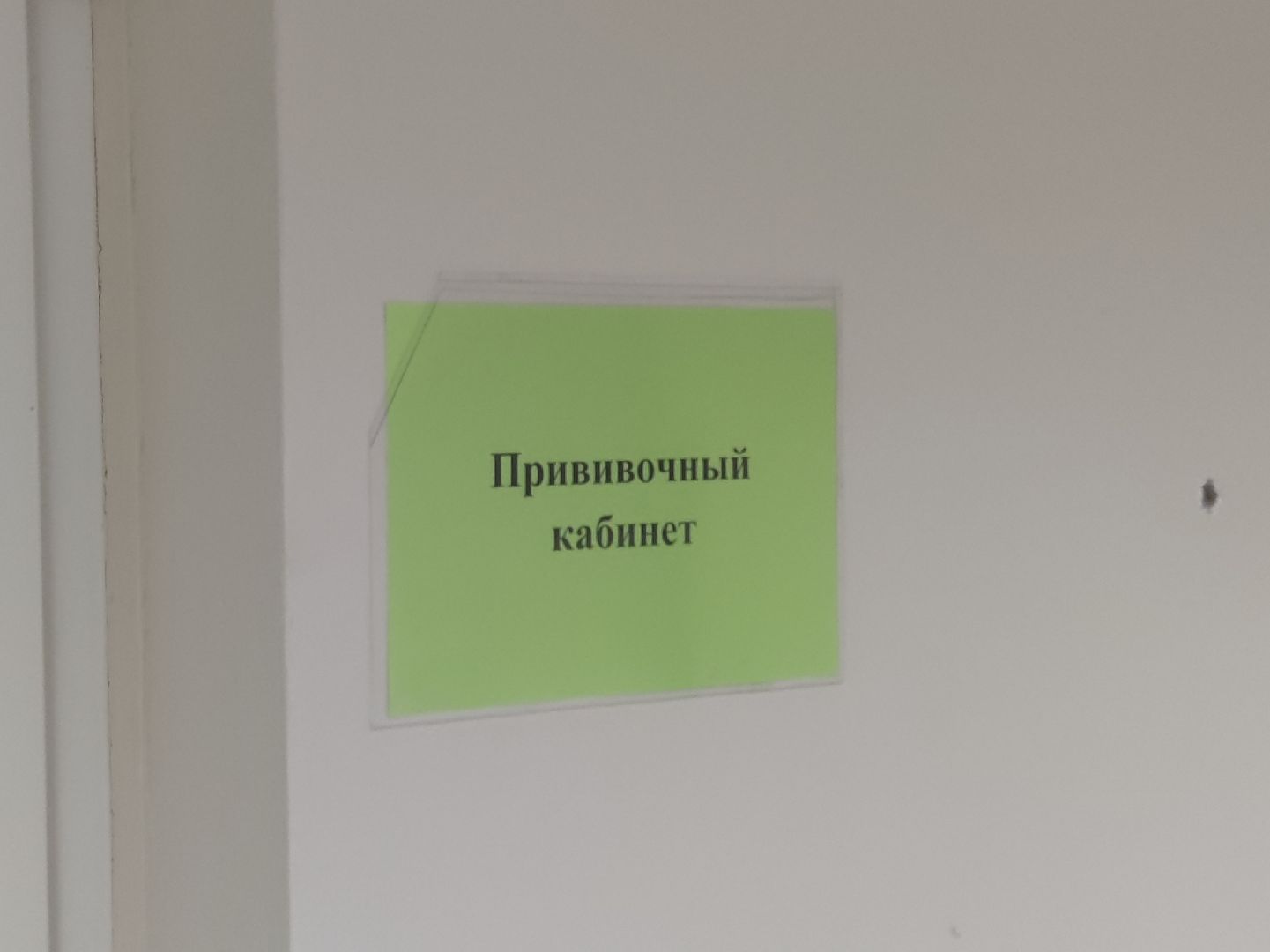 вакцинация, грипп, дети, дубненская больница, детская поликлиника, дубна,