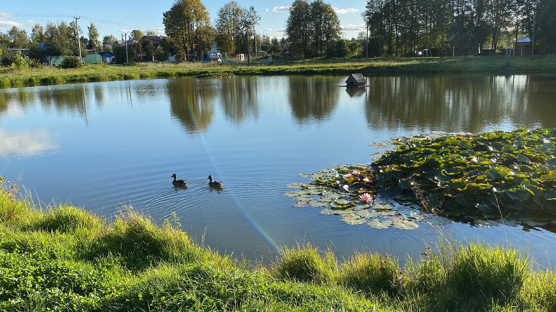 волоколамск, пруд, благоуйстройство, жители, город, общество,