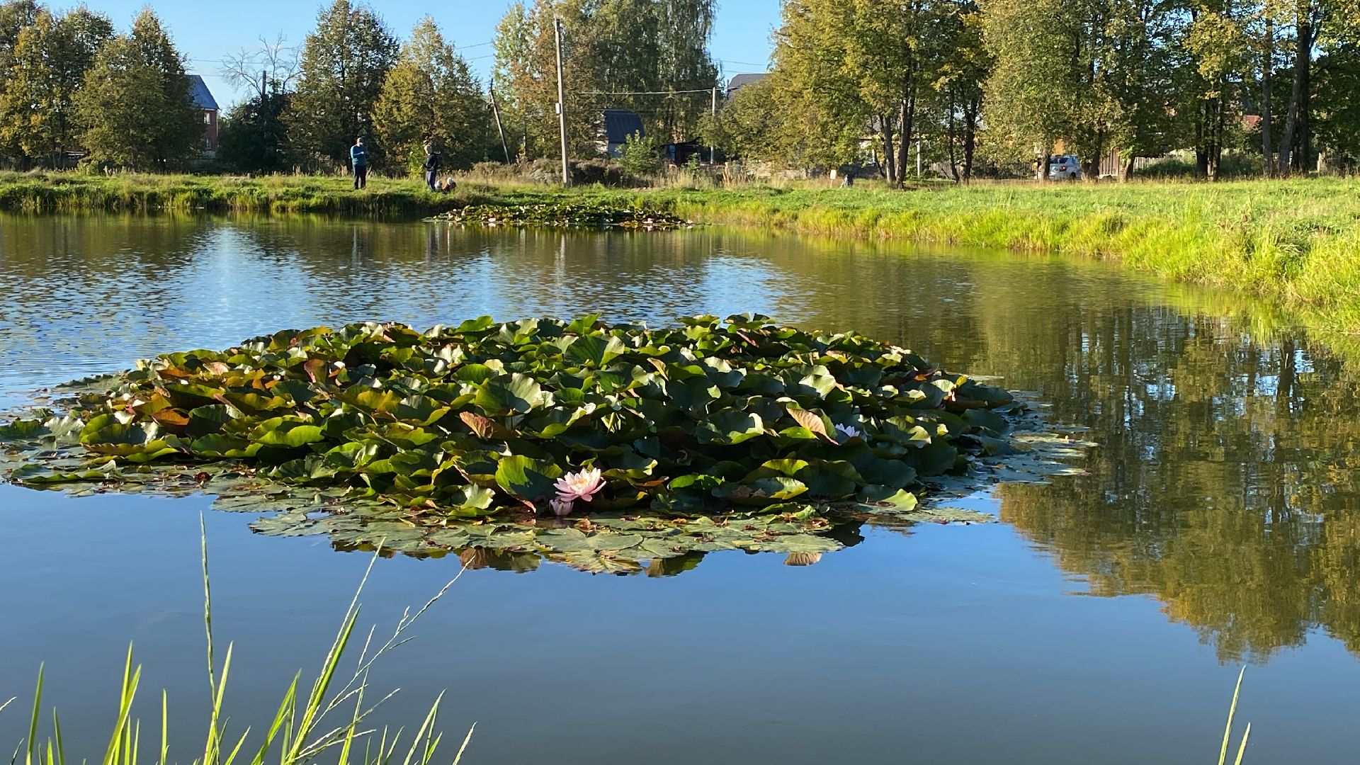волоколамск, пруд, благоуйстройство, жители, город, общество,