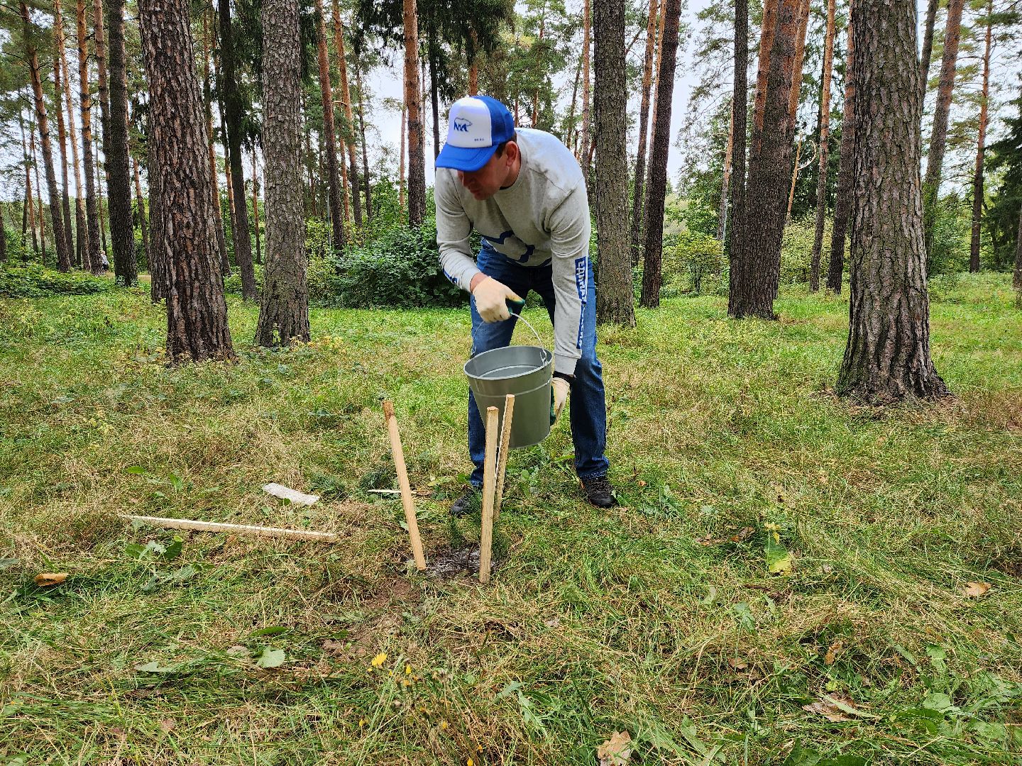Раменское, экология, наш лес, кратово,