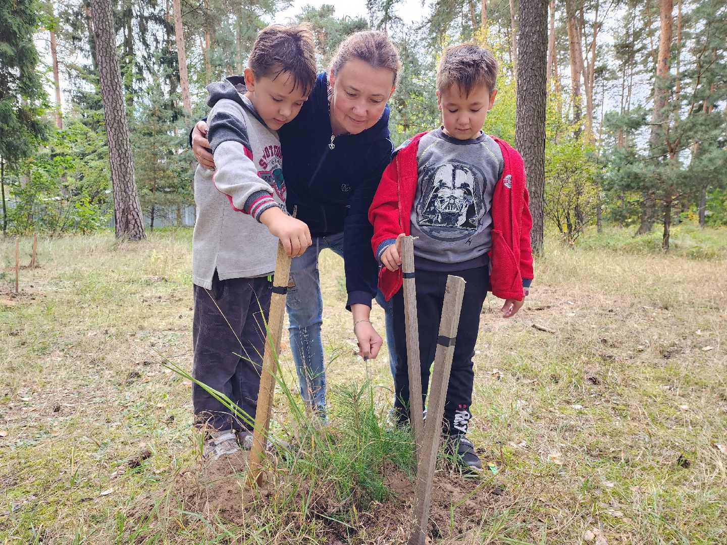 Раменское, экология, наш лес, кратово,
