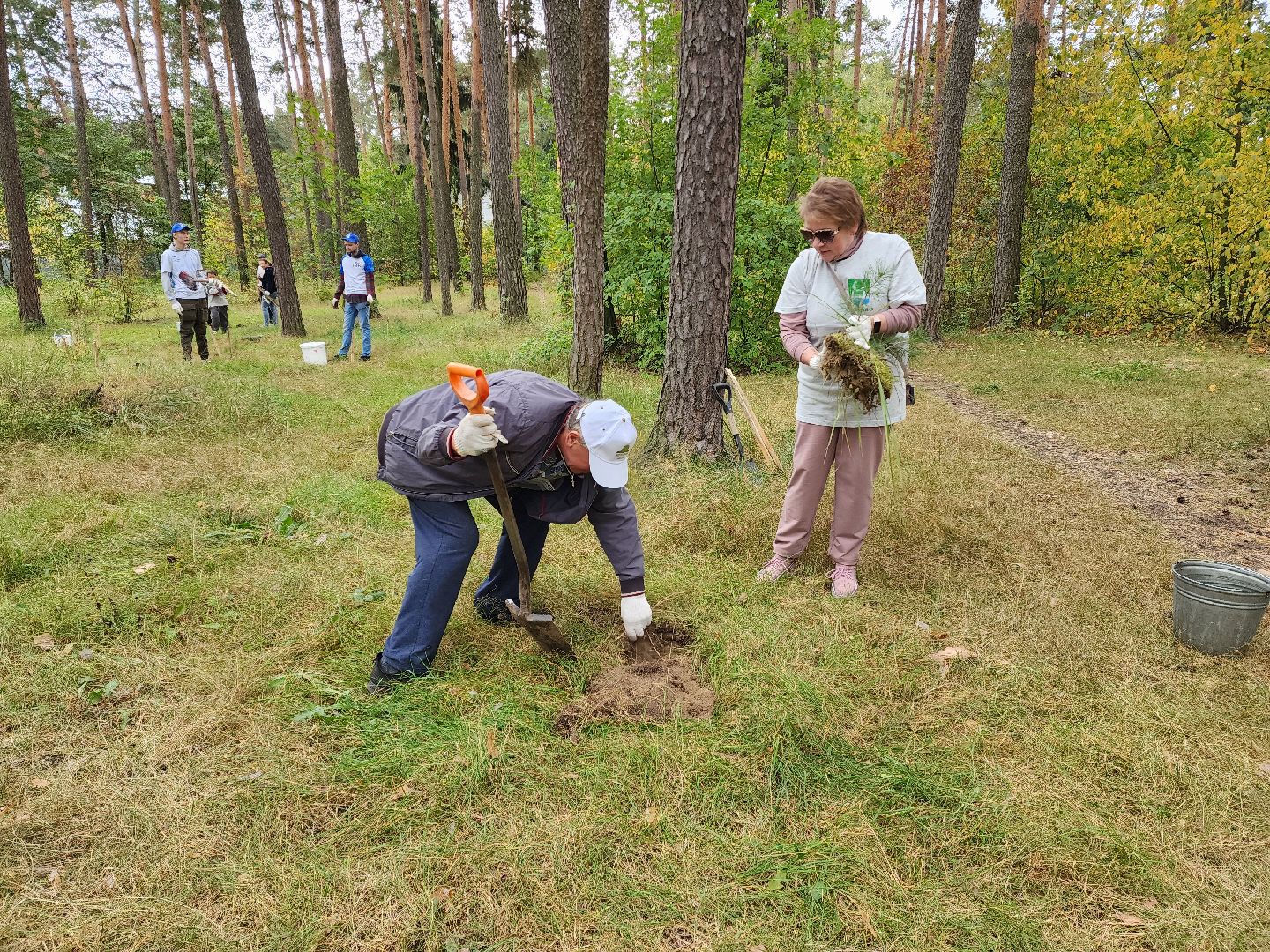 Раменское, экология, наш лес, кратово,