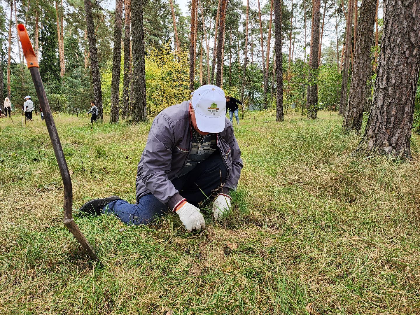 Раменское, экология, наш лес, кратово,