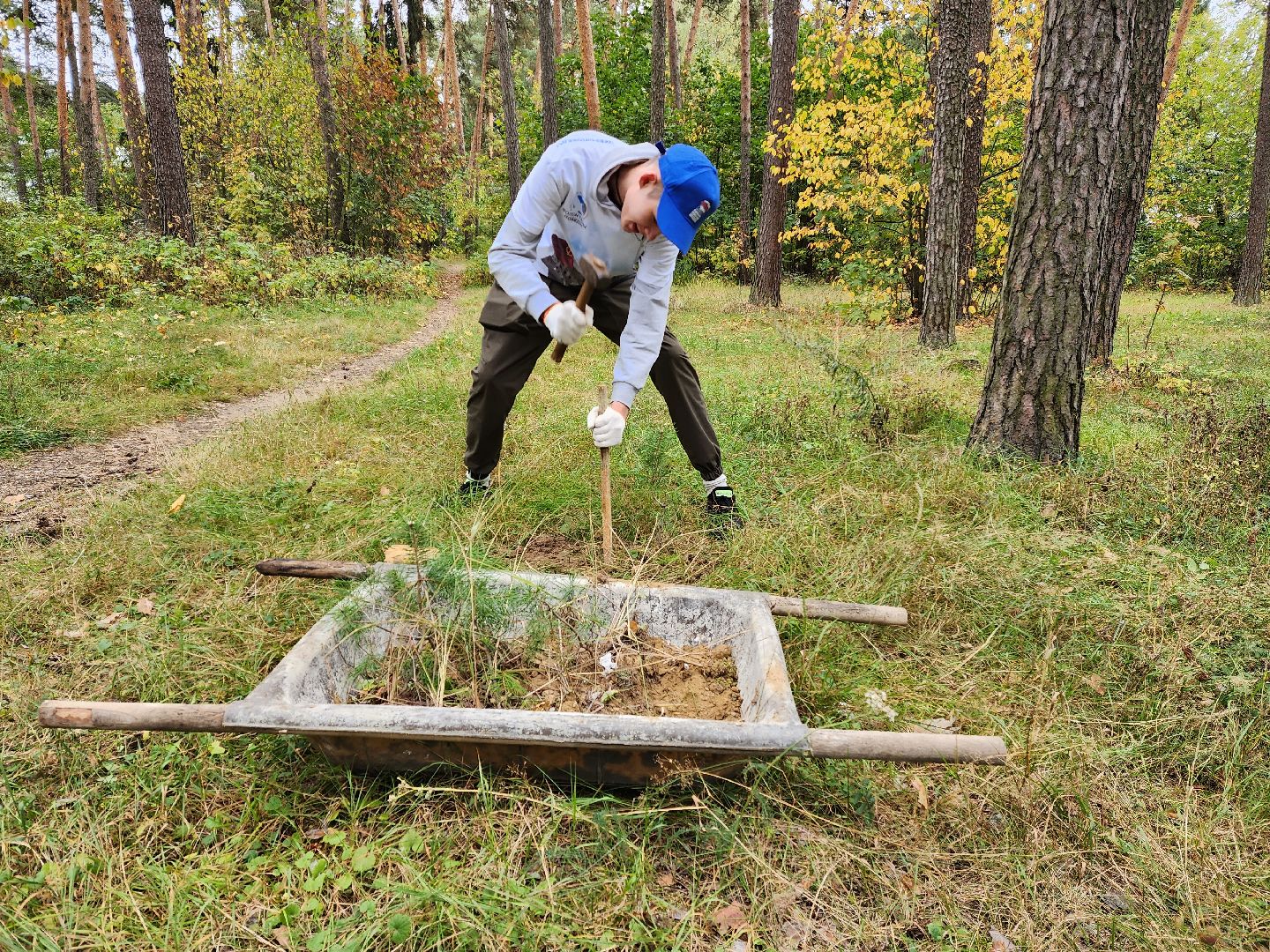 Раменское, экология, наш лес, кратово,