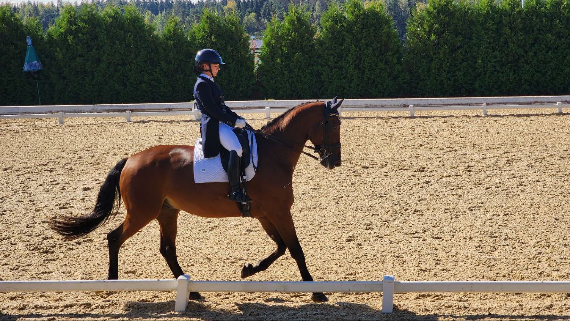 дмитров, спорт, максима парк,