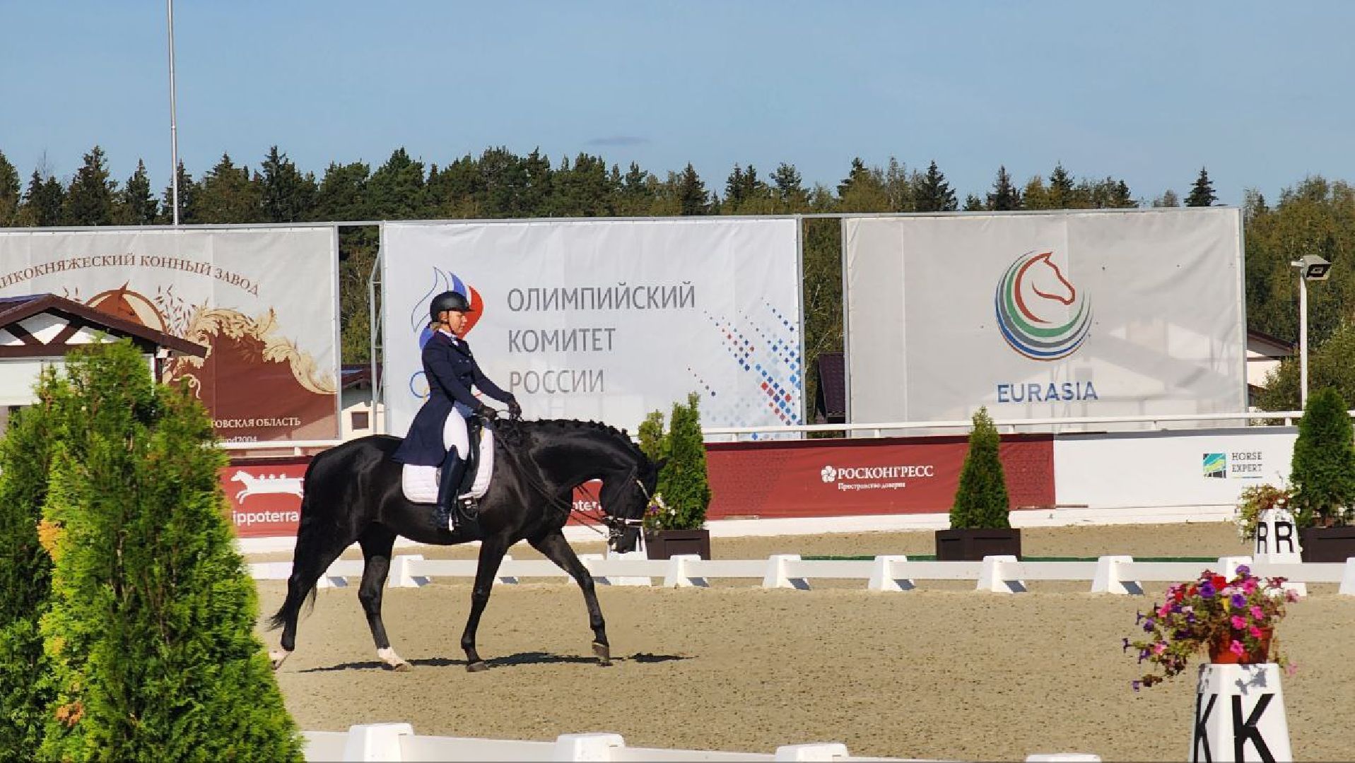 дмитров, спорт, максима парк,