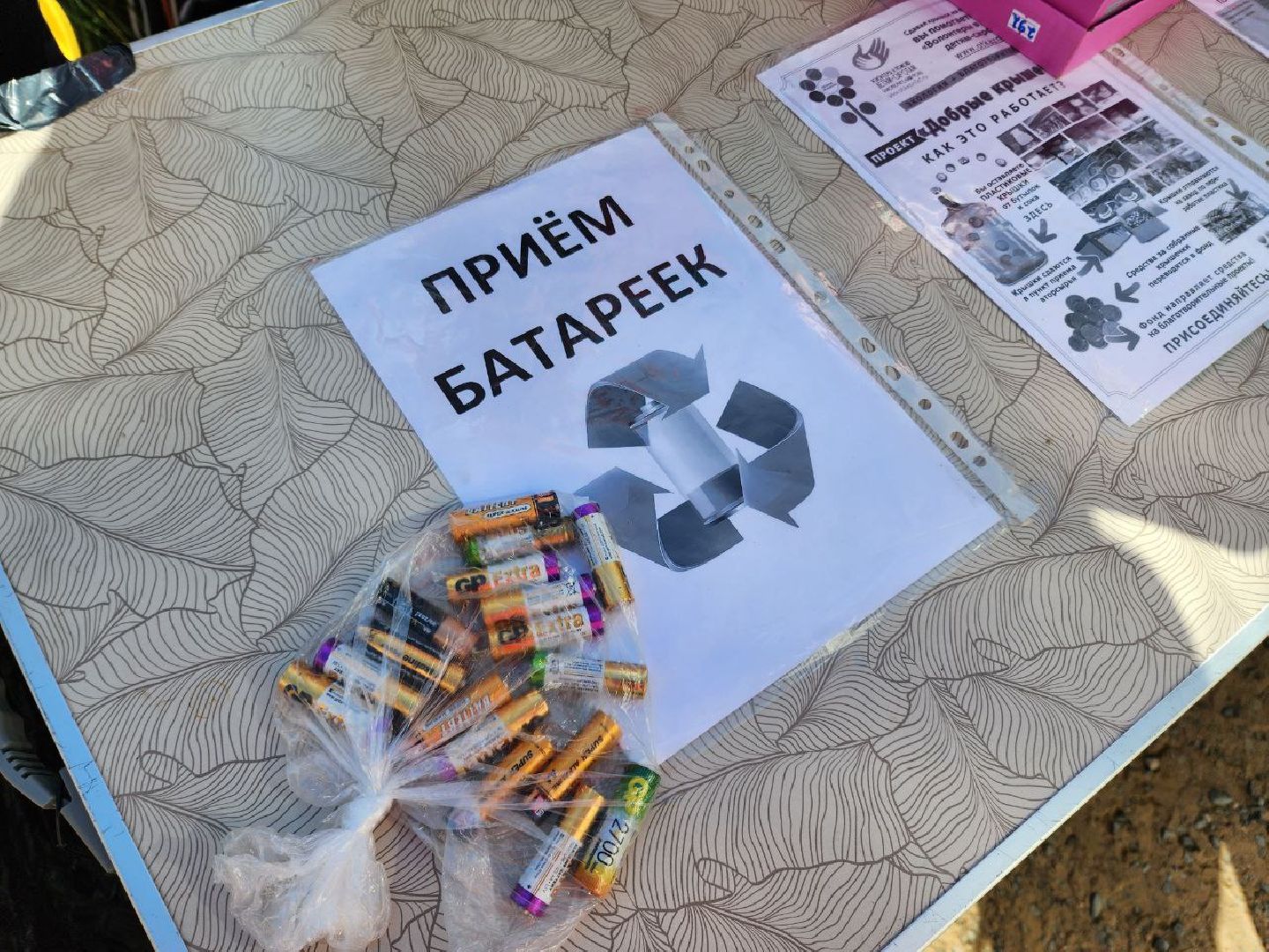 Солнечногорск, экодвор, акция, жители, депутаты,