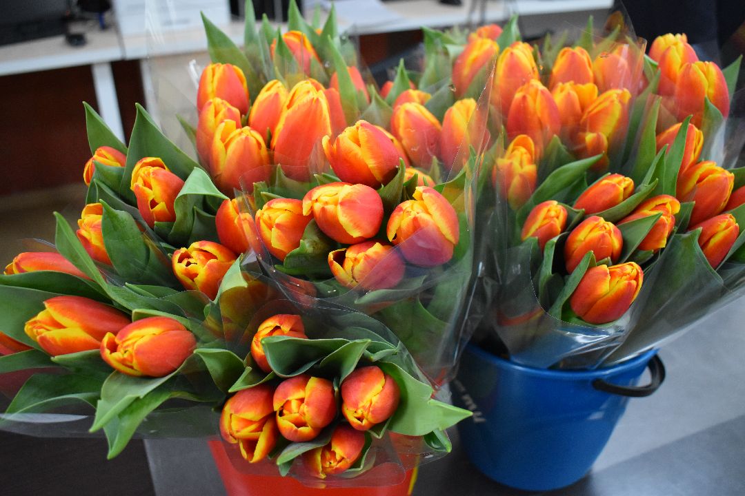 поздравление с 8 марта, Балашиха, депутат, Тарас Ефимов, скорая помощь, тюльпаны, весна, Железнодорожный, медсестра, фельдшер, врач Мособлдума