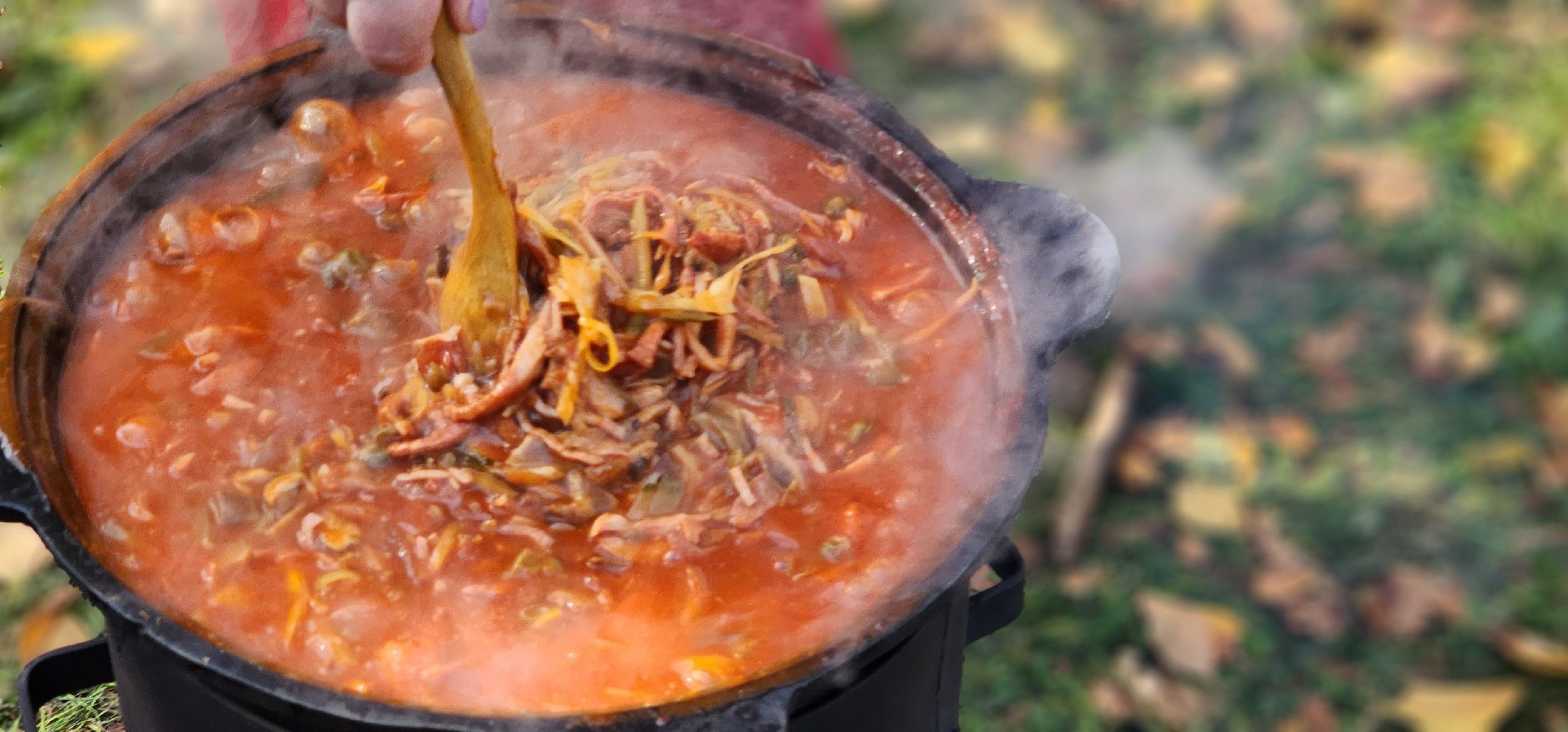 подольск, фестиваль,