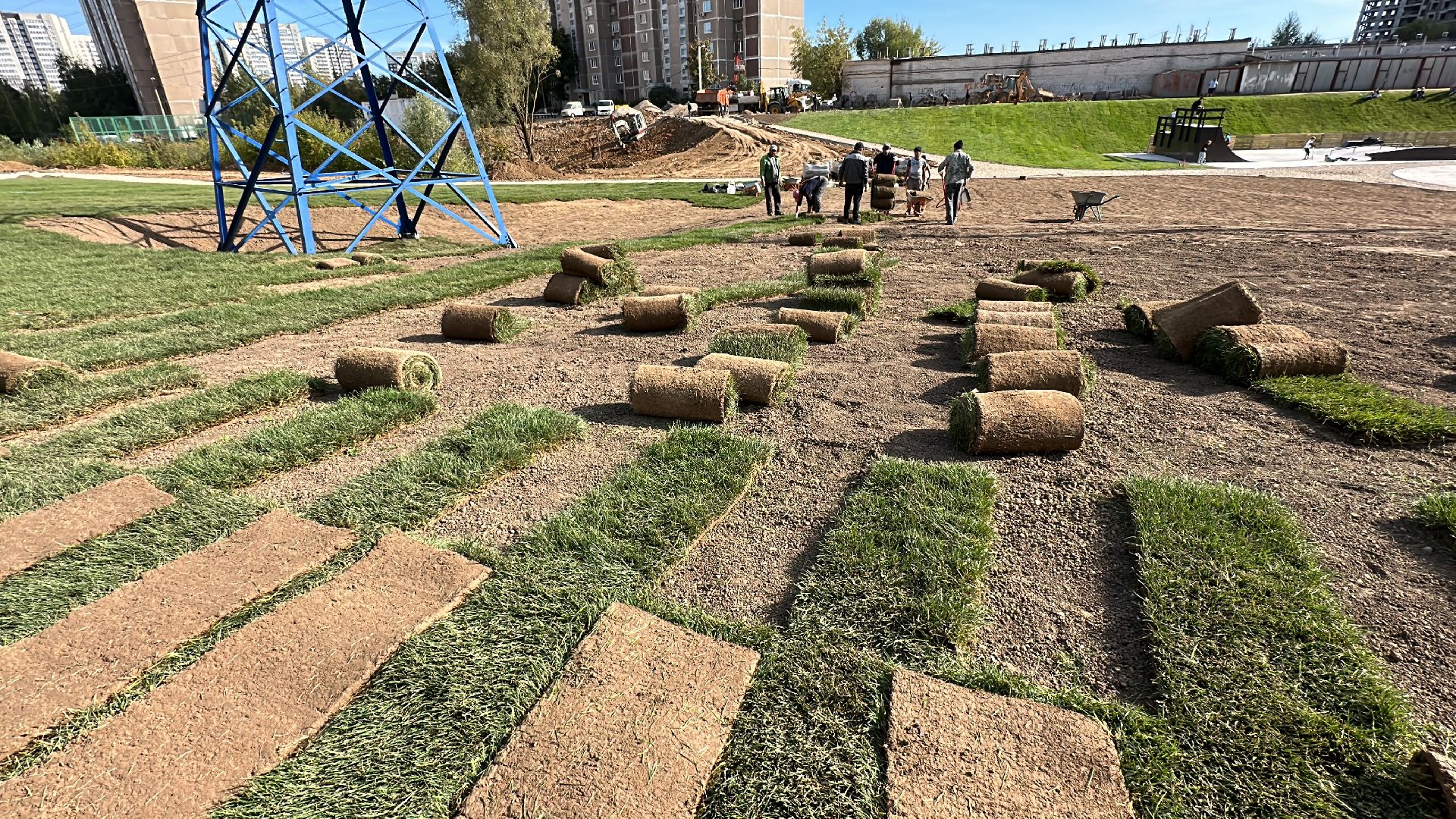 озеленение, газон, Одинцово