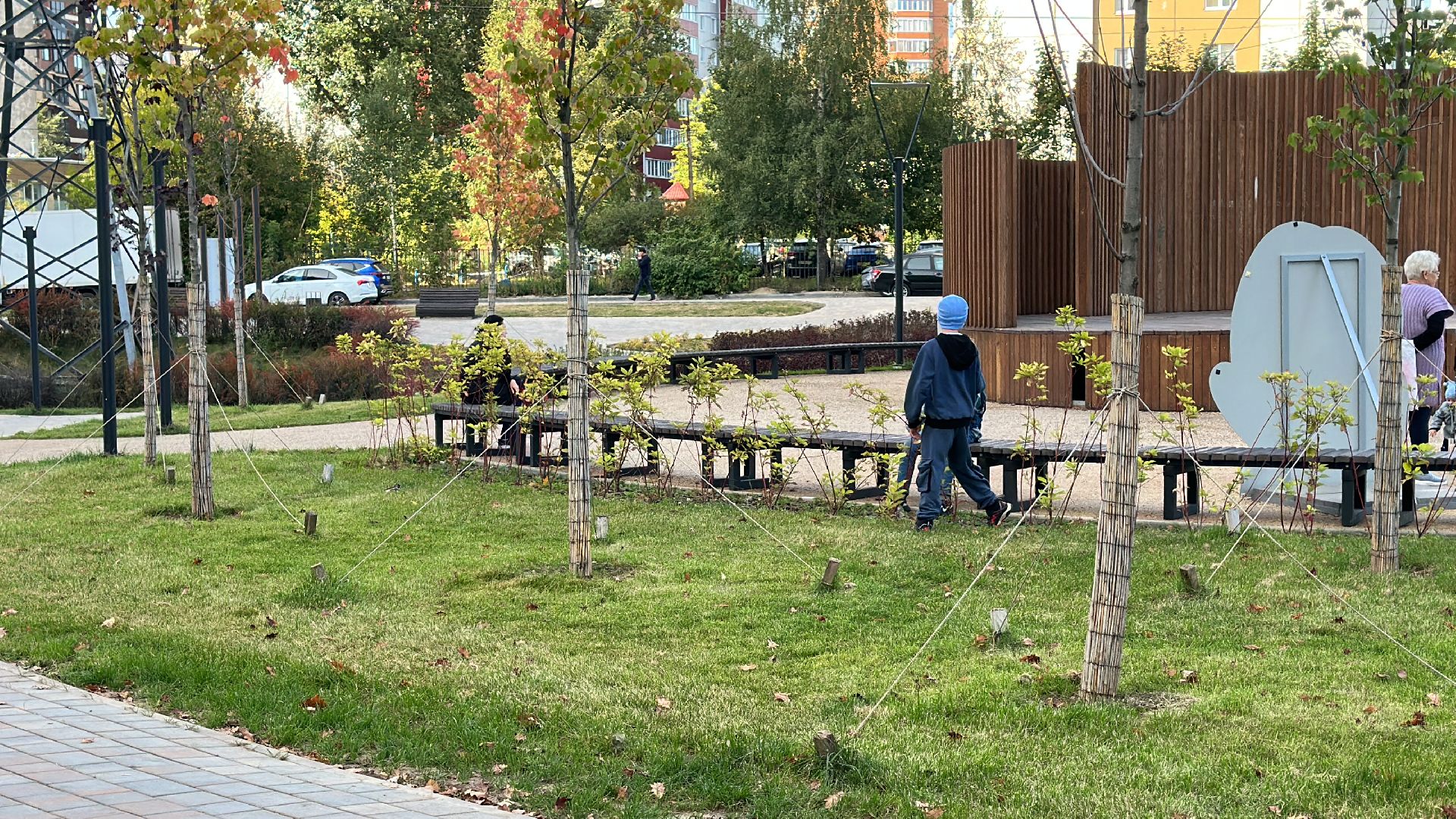 озеленение, газон, Одинцово