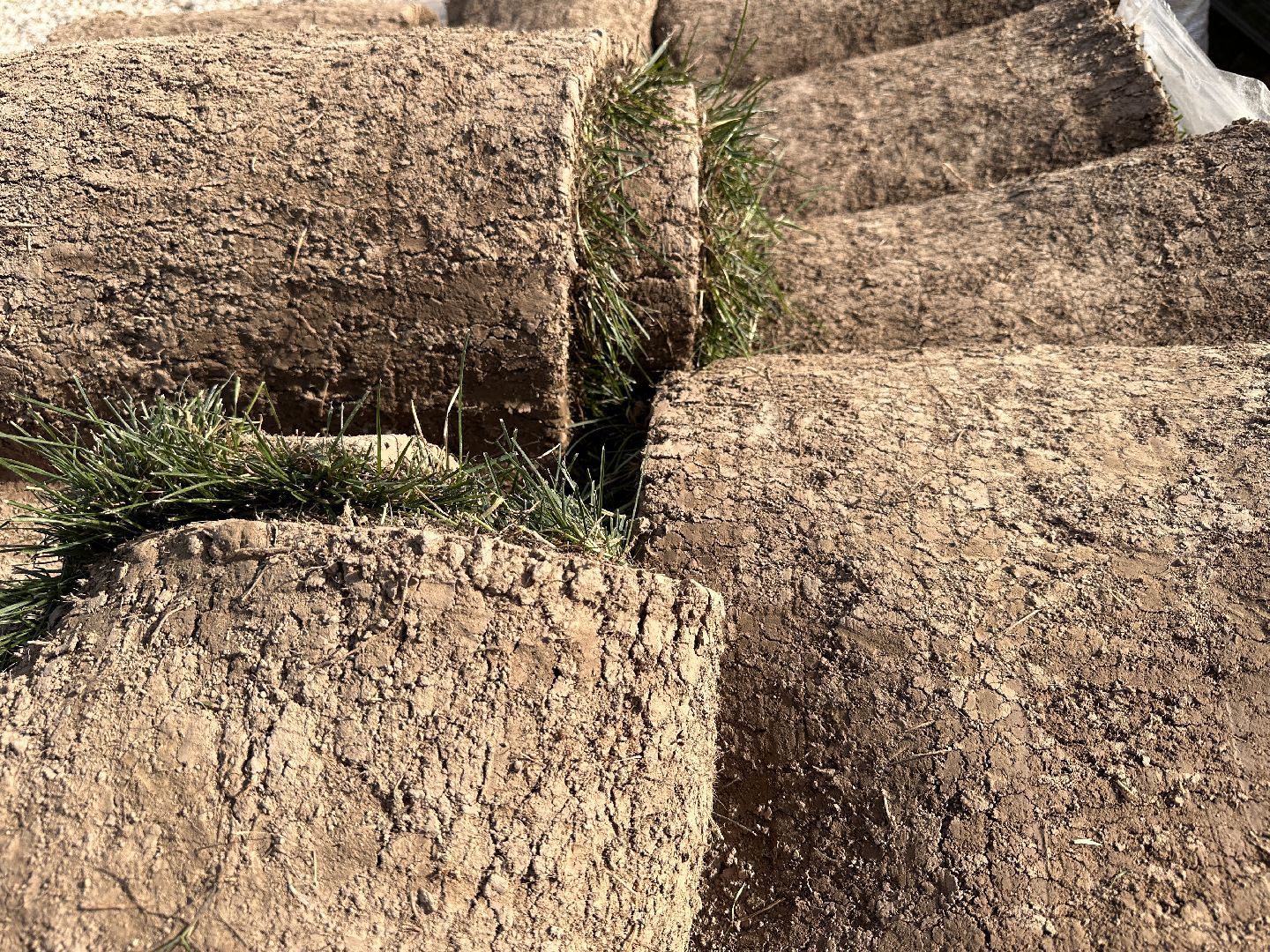 озеленение, газон, Одинцово