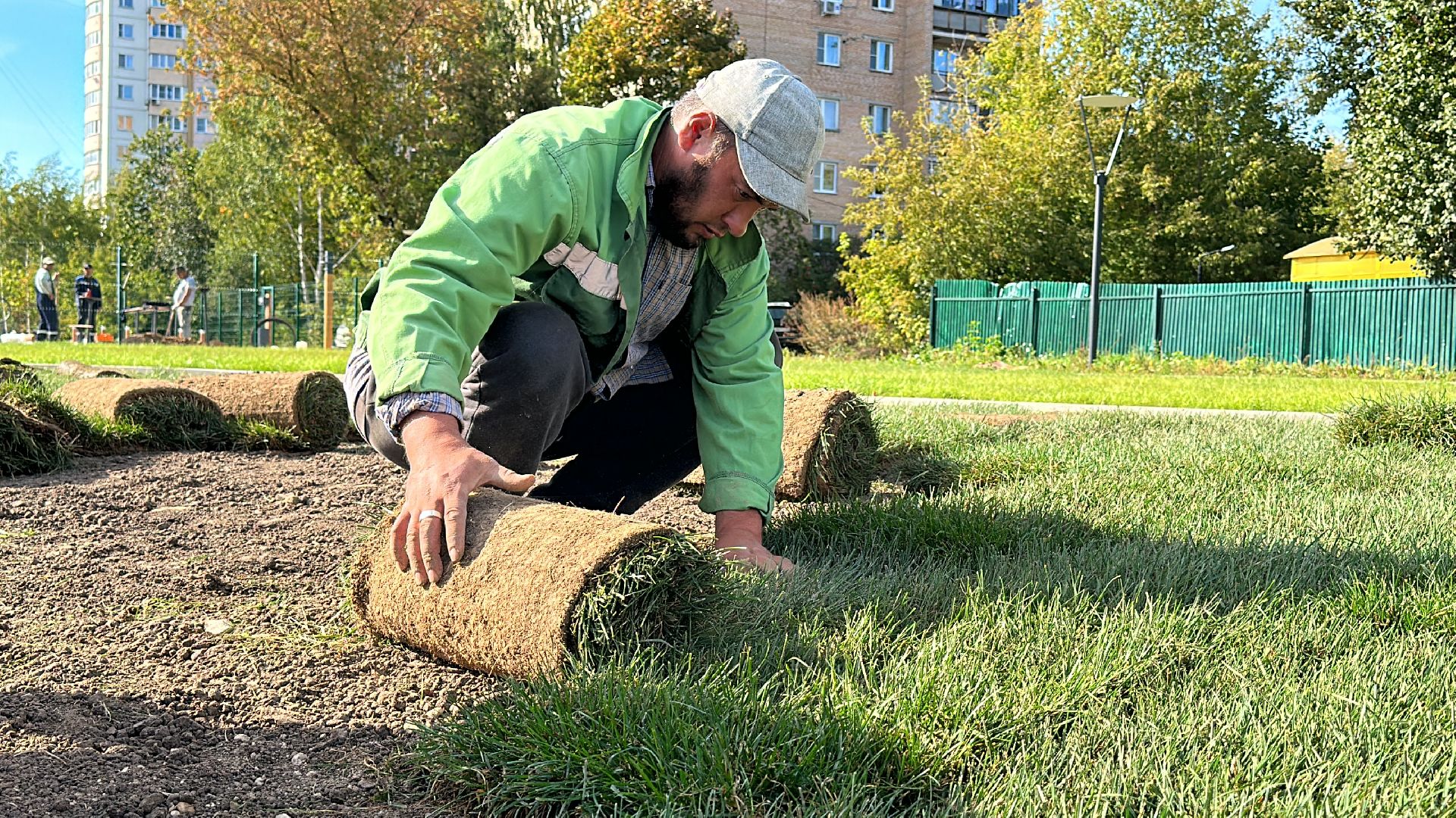 озеленение, газон, Одинцово