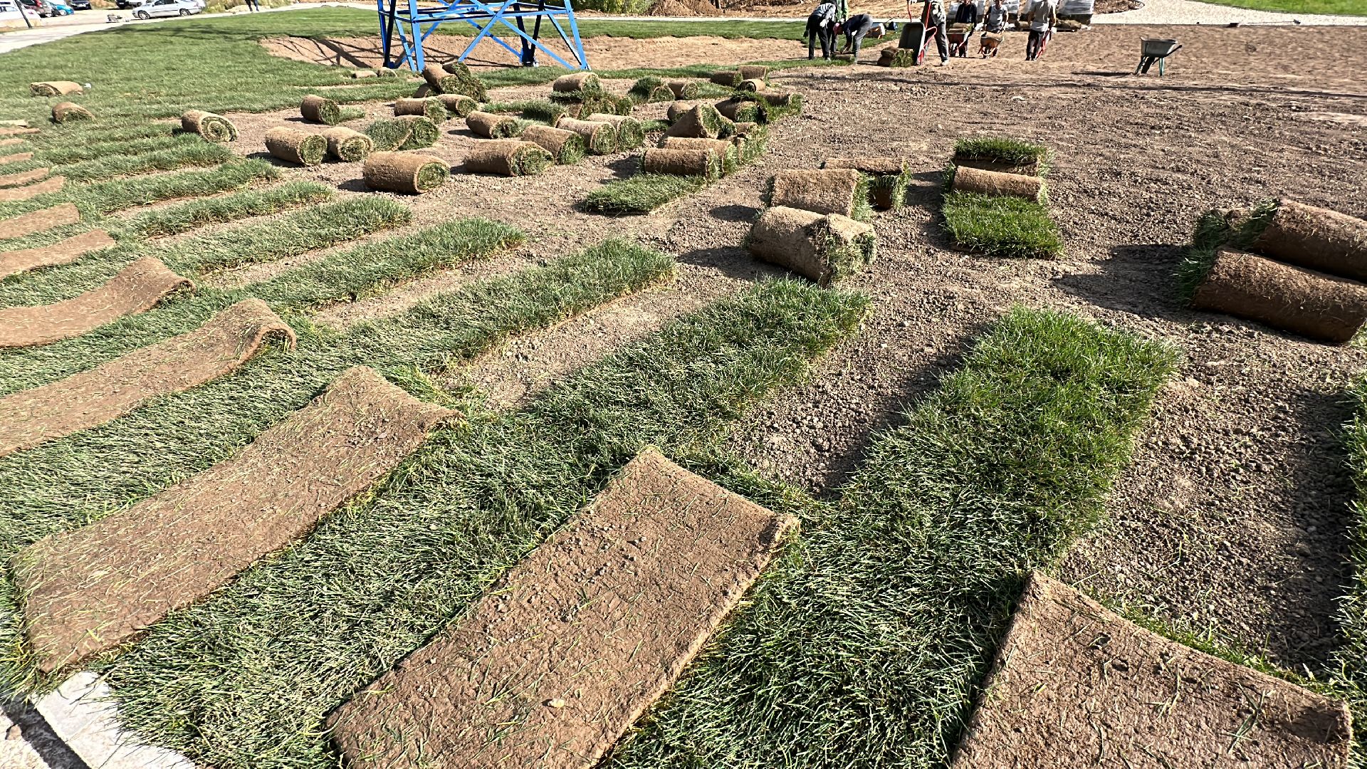 озеленение, газон, Одинцово