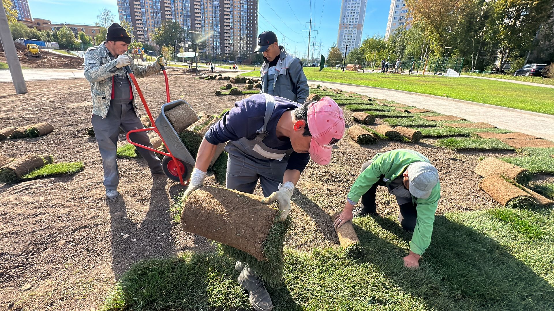 озеленение, газон, Одинцово