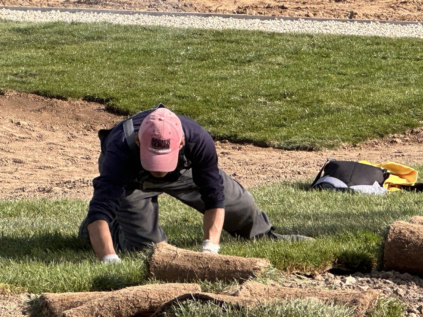 озеленение, газон, Одинцово
