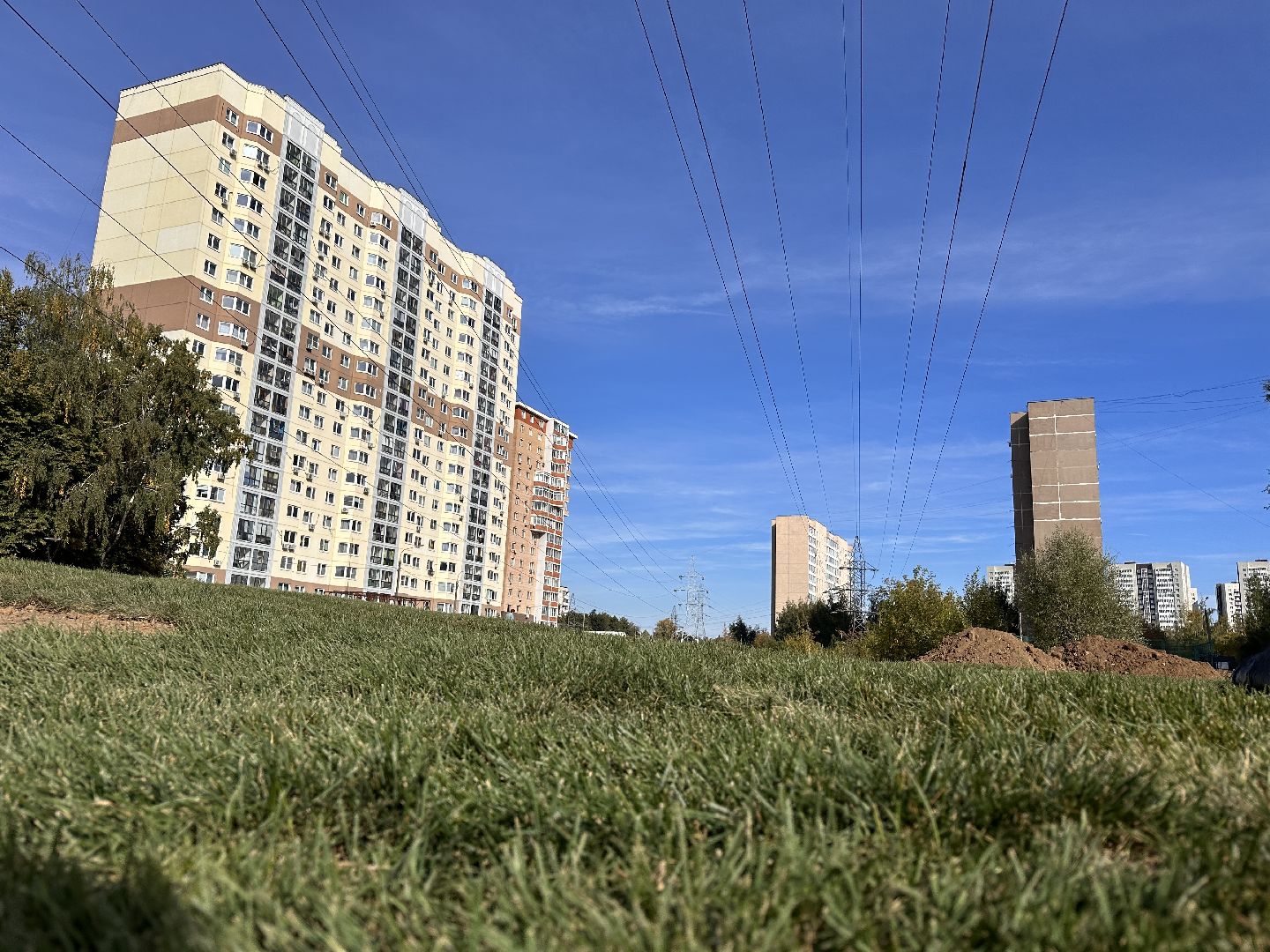 озеленение, газон, Одинцово